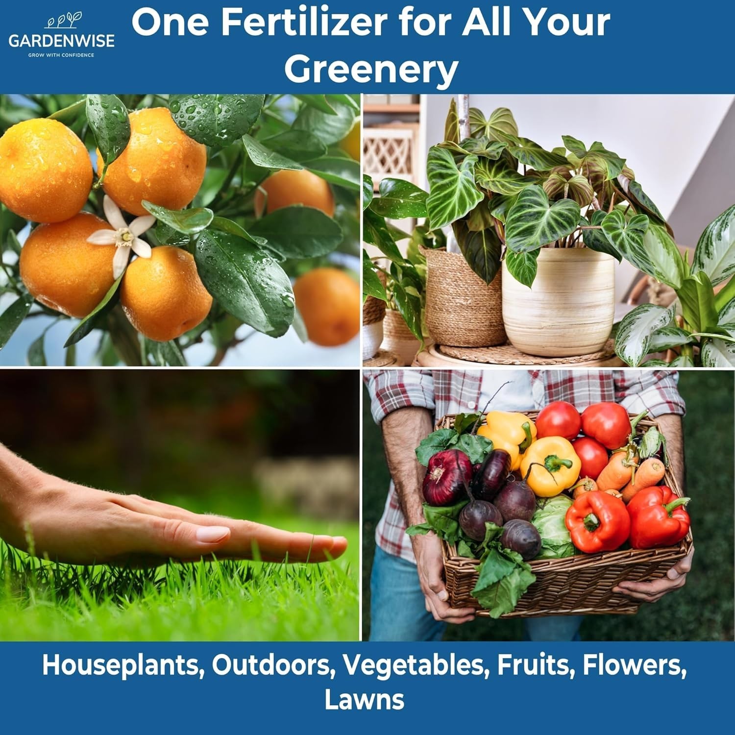 20-20-20 Water-Soluble Fertilizer – Powder for Liquid Plant Food for Indoor &…