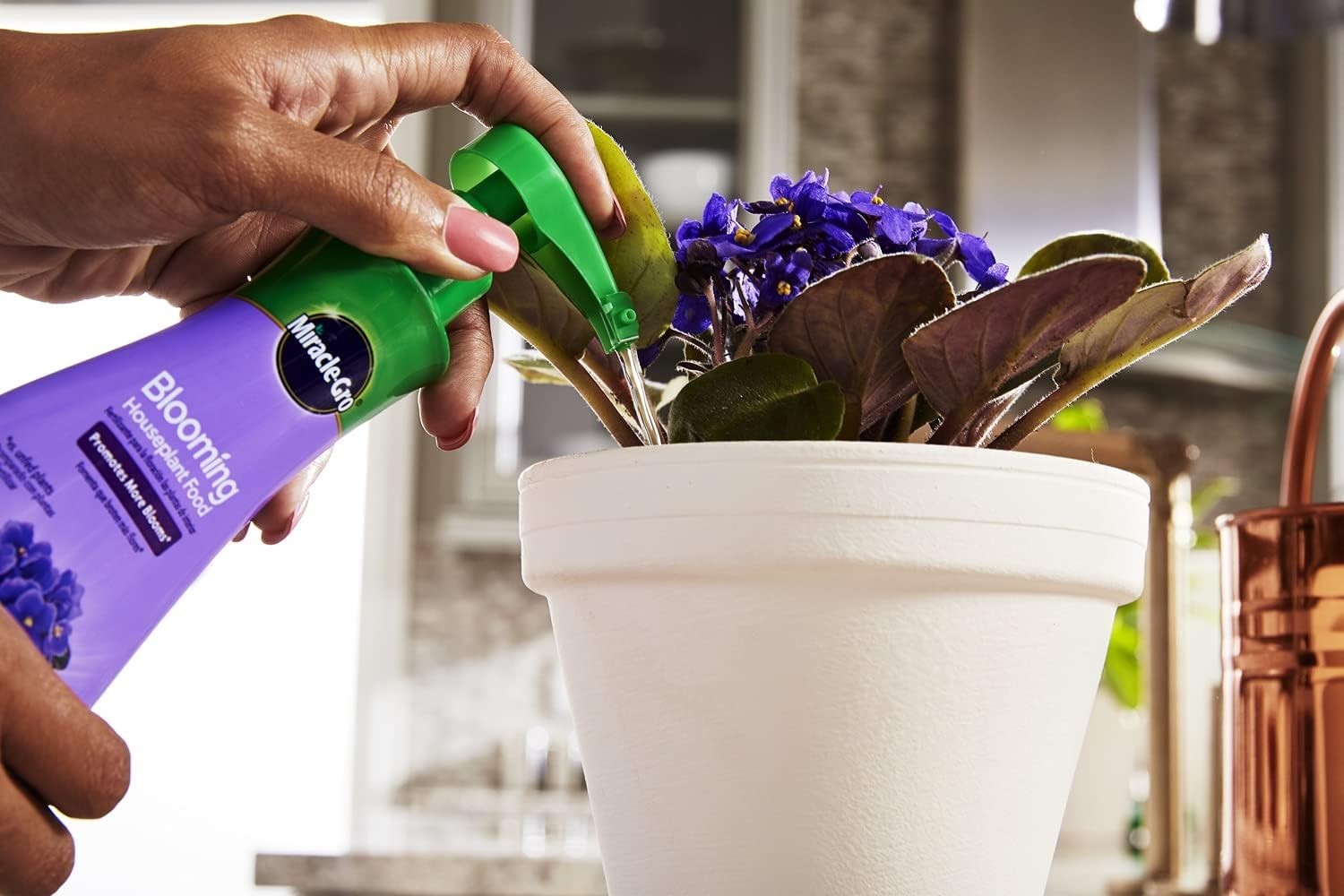 Blooming Houseplant Food 8 oz 6-Pack – Boost Your Blooming Plants’ Growth