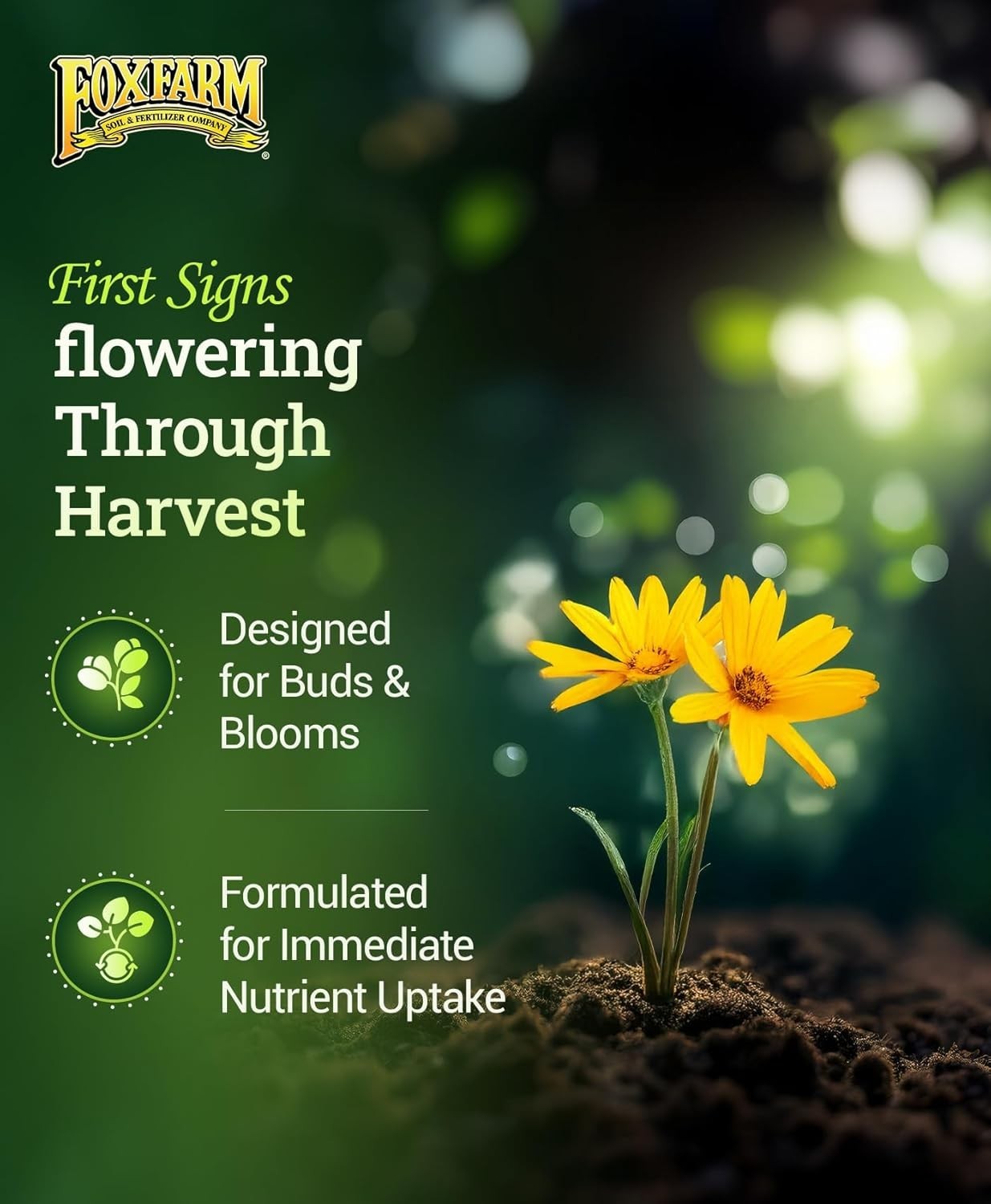Fox Farm Nutrient Trio for Thriving Plants – Tiger Bloom, Grow Big, Big Bloom