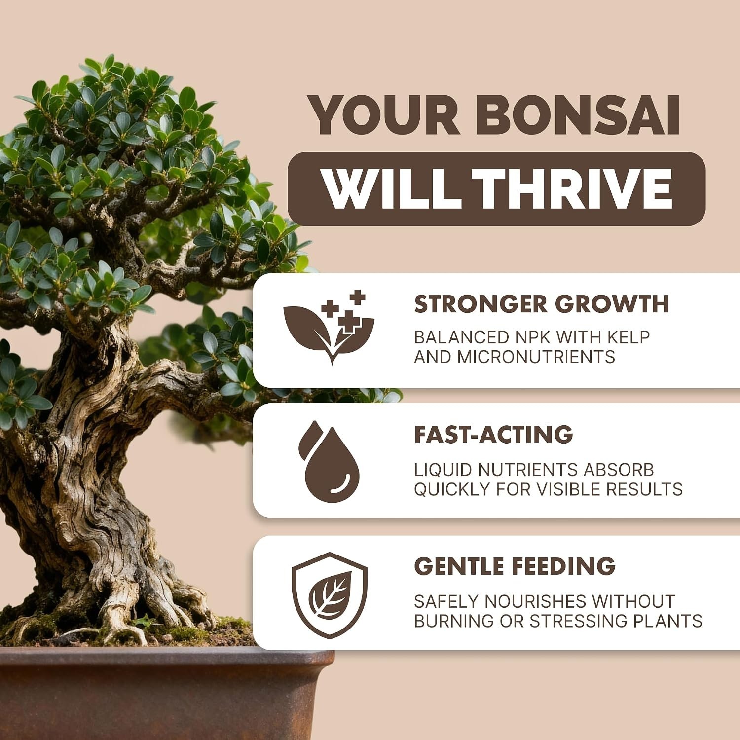 Bonsai Fertilizer – Liquid Plant Food for Healthy Growth, Vibrant Foliage & S…