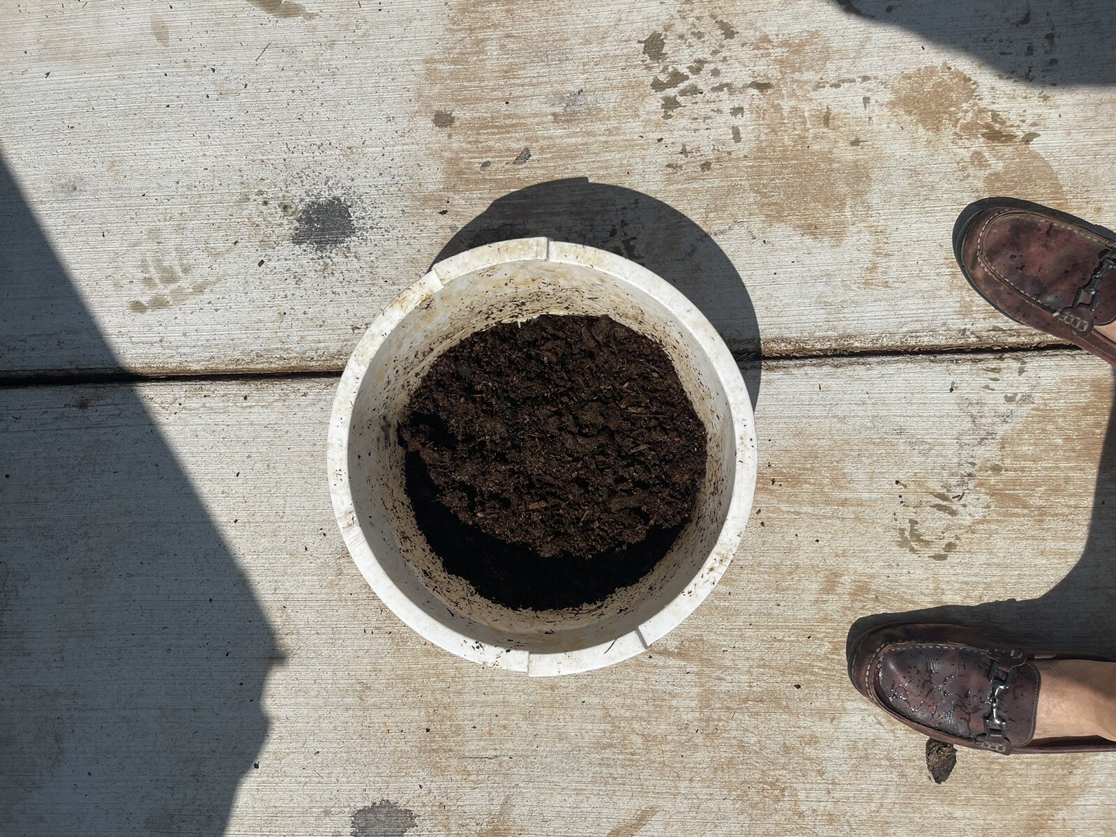 compost – horse manure/soft wood shavings – mature aged ready to use – tested