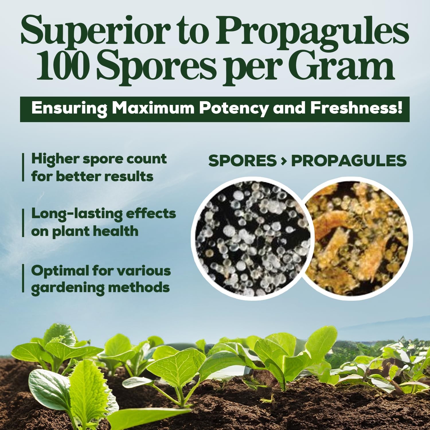 Organic Root Enhancer 100 Spores Per Gram 5Strain Blend Plant Nutrient 125 Grams