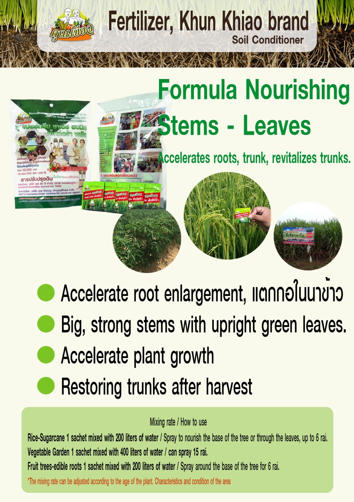 1 sachet 1 gram Fertilizer Powder for Soil Conditioning Khun-Khiao Brand