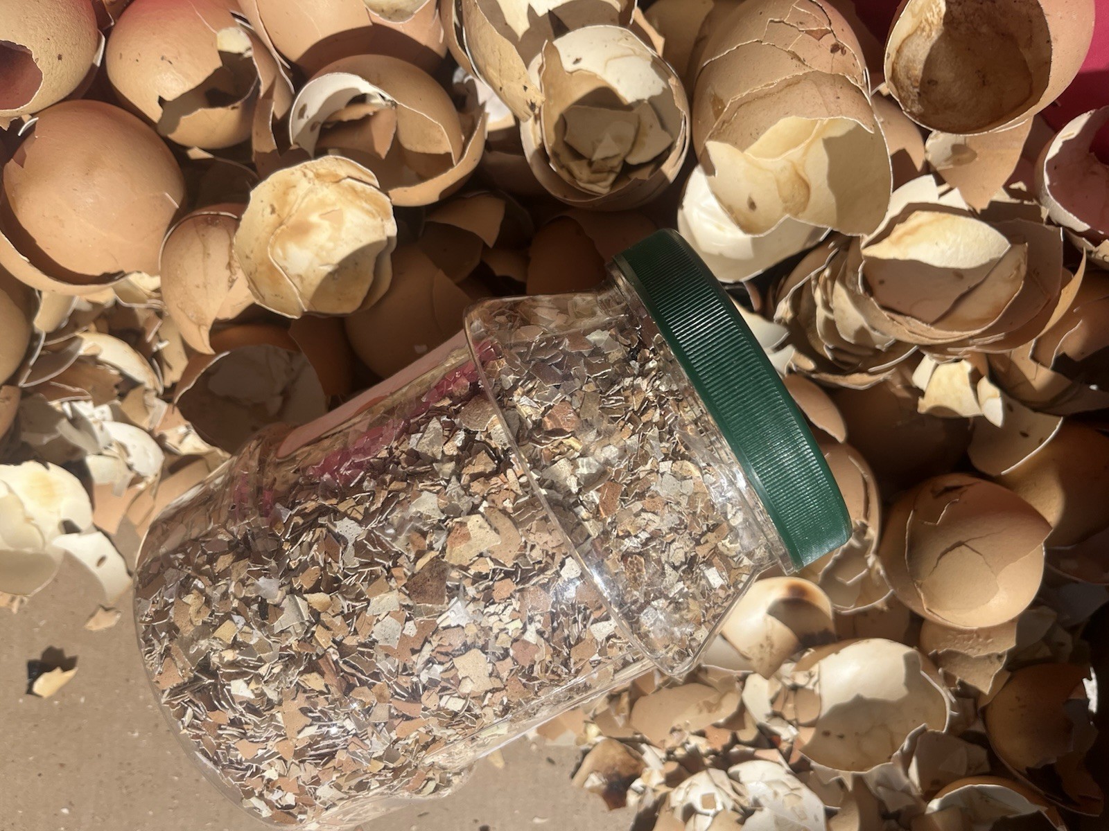 Crushed Eggshells 1 lb Calcium Fertilizer Egg Shells Garden Slugs Baked