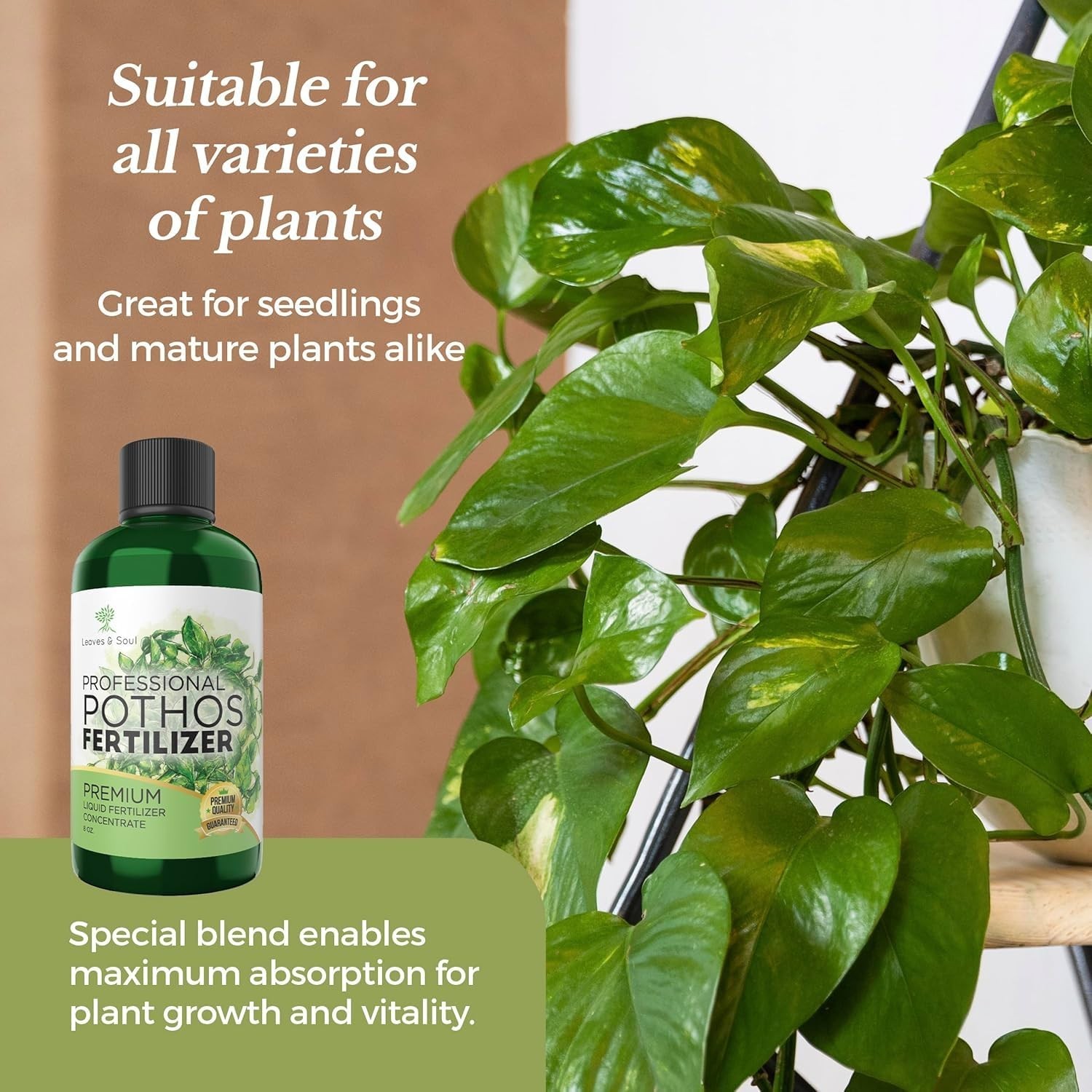 Plant Nutrients – 8 oz Pothos Fertilizer for Healthy Growth & Vitality