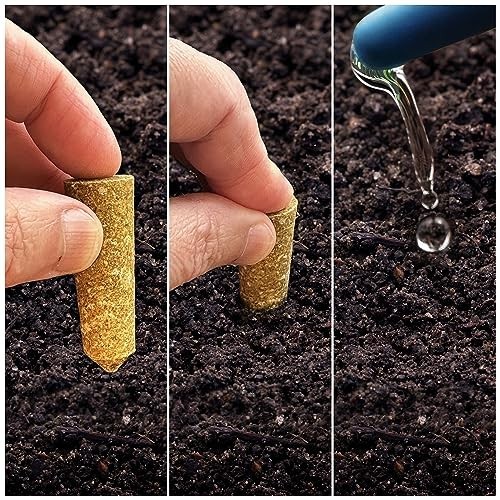 Houseplant Plant Food Spikes 5 5 5 Fertilizer 12 Count Indoor Flower Continuous