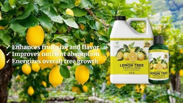 Professional Lemon Tree Fertilizer Liquid Concentrate – 6-4-6 Blend for Fruit…