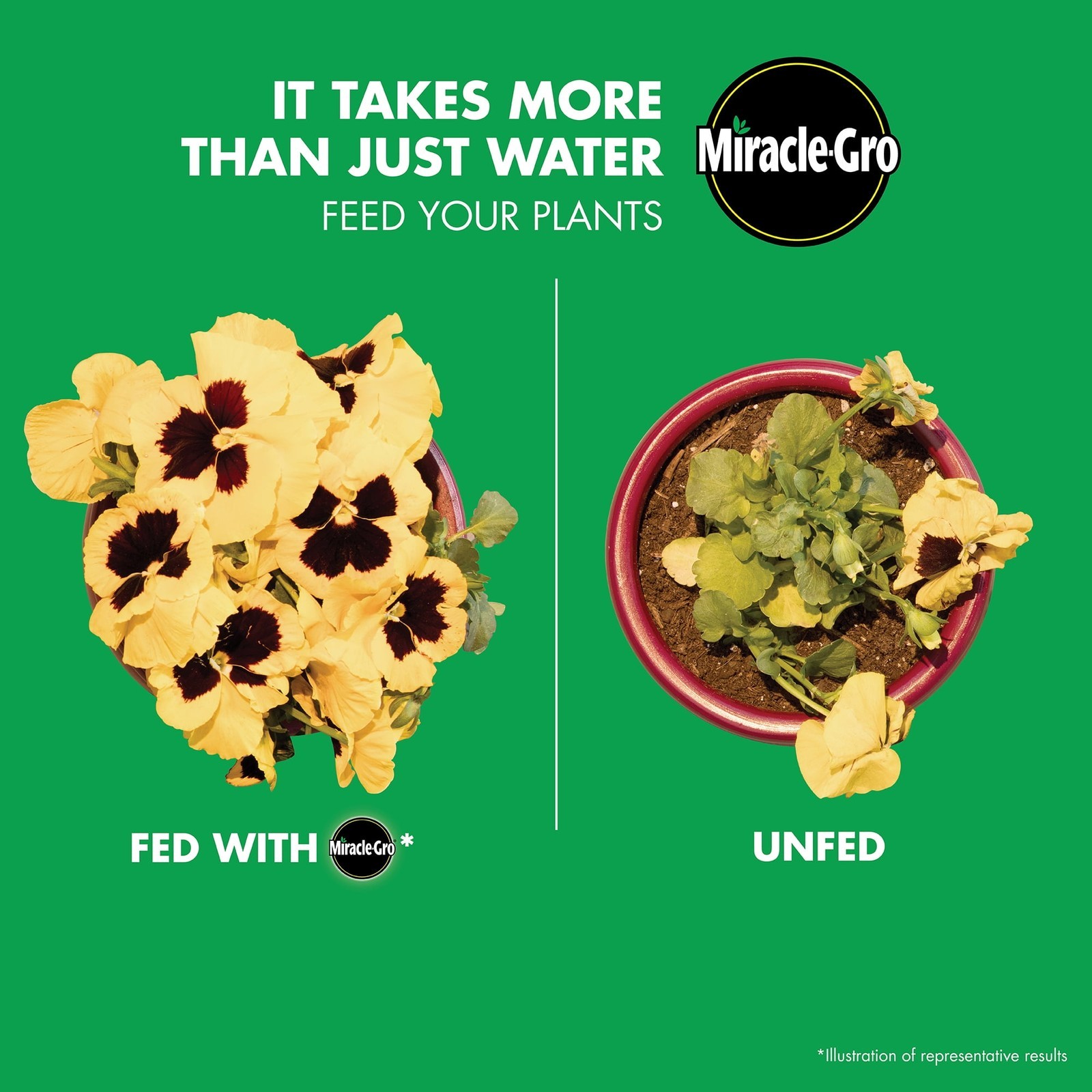 LiquaFeed All Purpose Plant Food Advance Starter Kit Includes Feeder