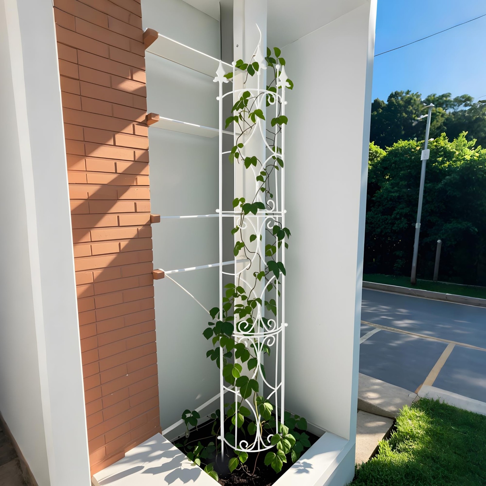 Thealyn Garden Trellis 2 Pack 72” H x 12” W Metal Plant Trellis Indoor/Outd…