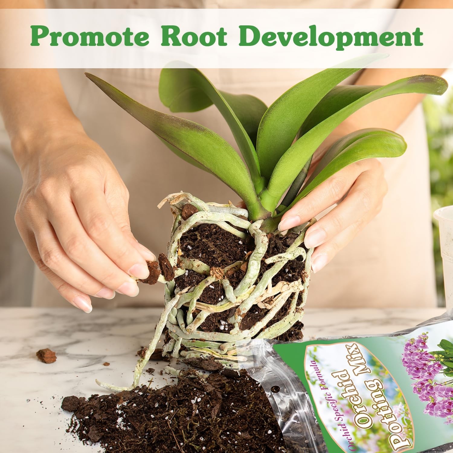 Orchid Potting Mix for Repotting, Mixture of Moss Pine Bark Coco Peat and Per…