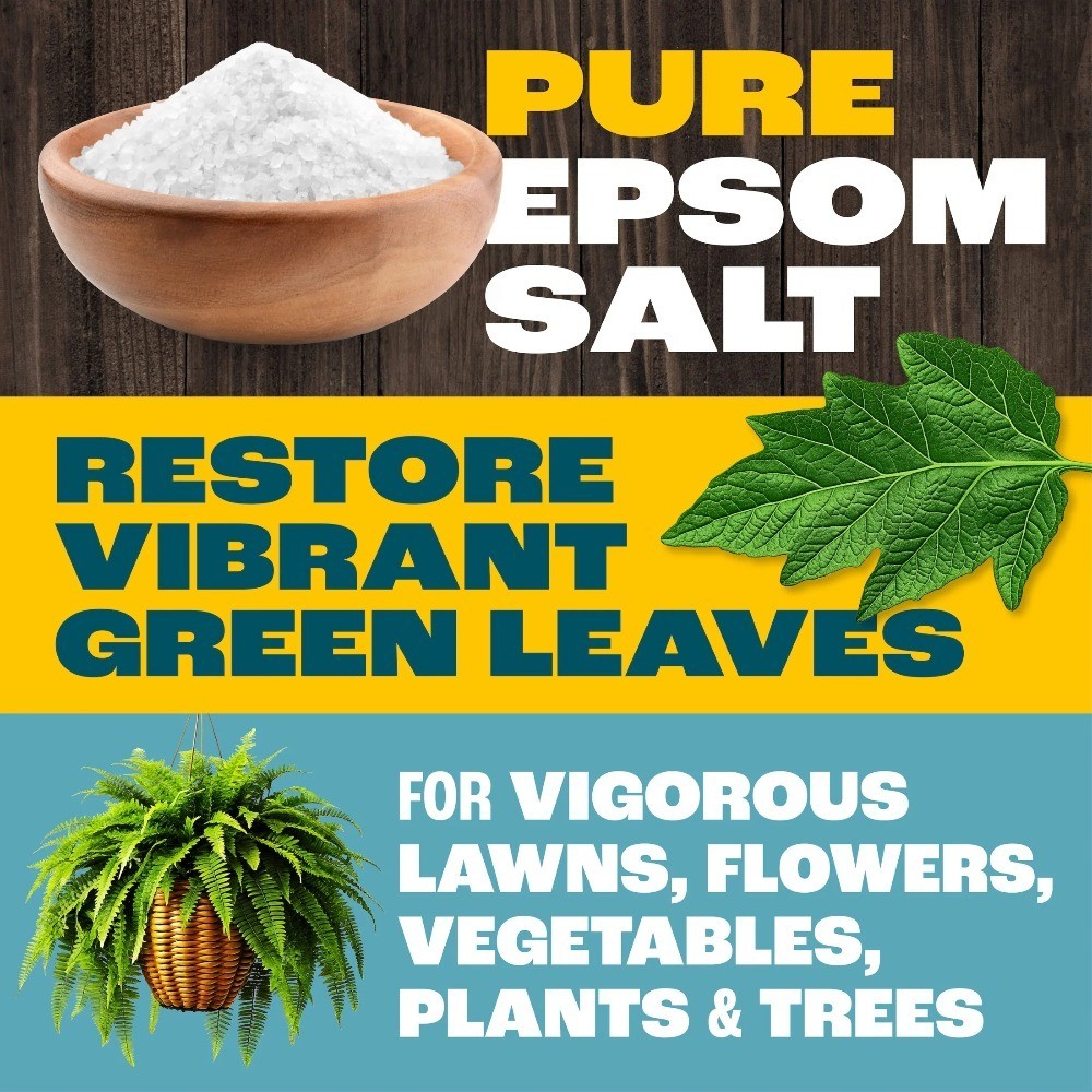 Epsom Salt Fertilizer for Plants, 7 Pounds, Magnesium Sulfate Soil Amendment