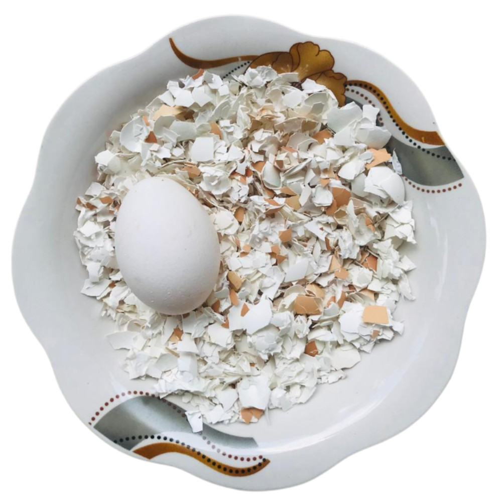 Egg Shell Organic Ceylon Crushed 100g fertilizer Whitener Home Made Calcium