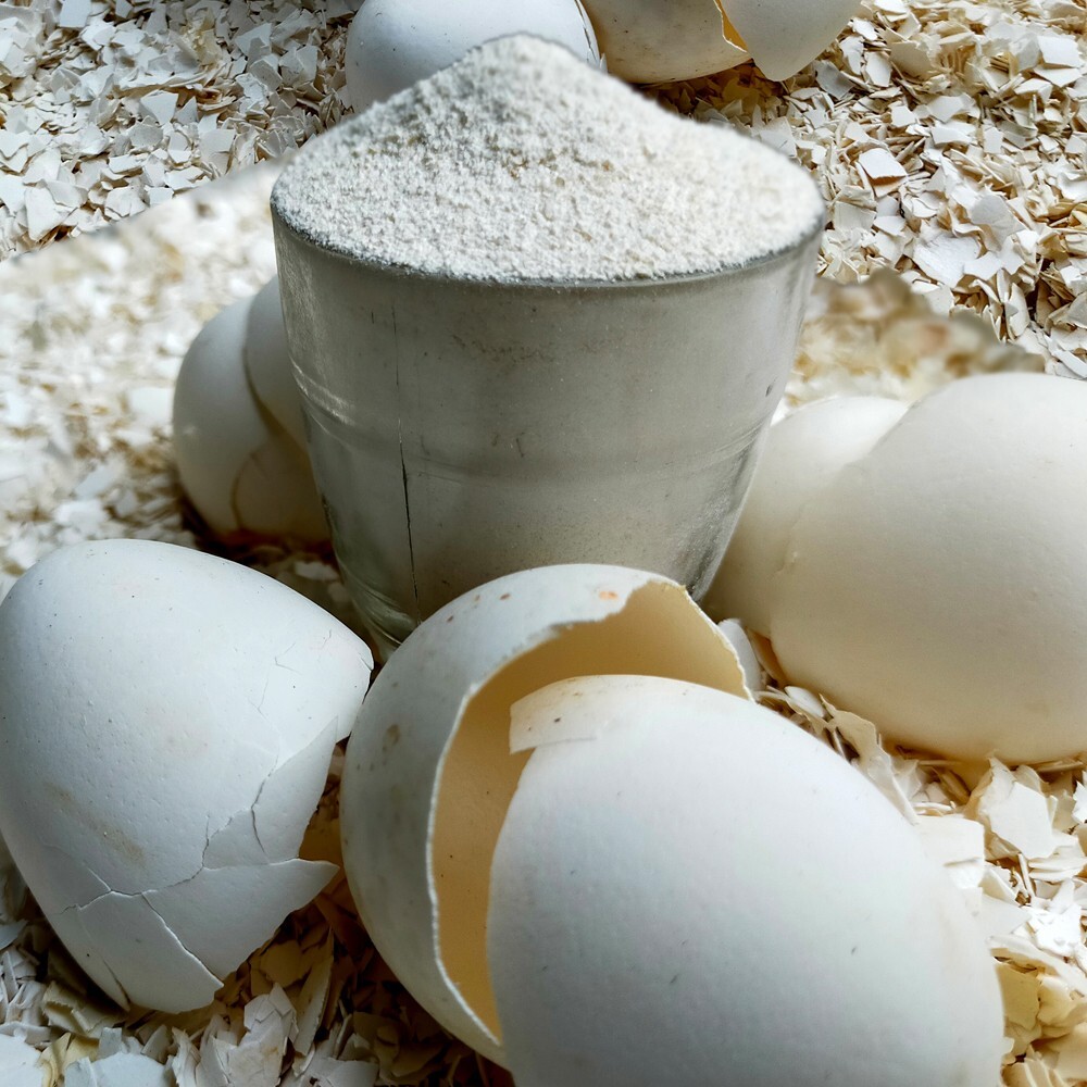 Organic Ceylon Powder Egg Shell fertilizer Whitener Home Made