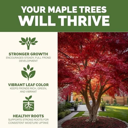 Maple Tree Fertilizer – Liquid Plant Food for Vibrant Color, Stronger Roots &…
