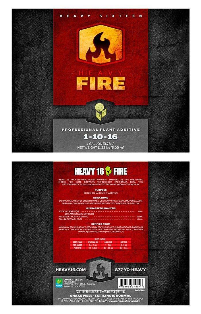 Heavy Fire Heavy 16 1 Pint