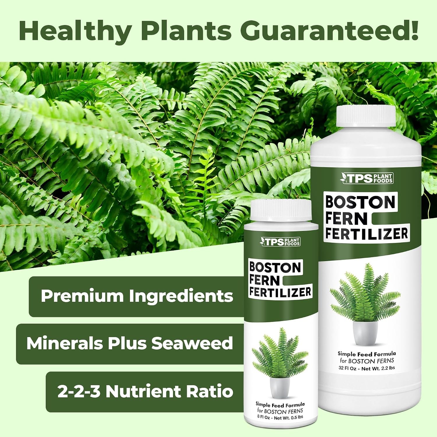 Boston Fern Fertilizer – Liquid Plant Food Fuller Fronds Rich Green Color &