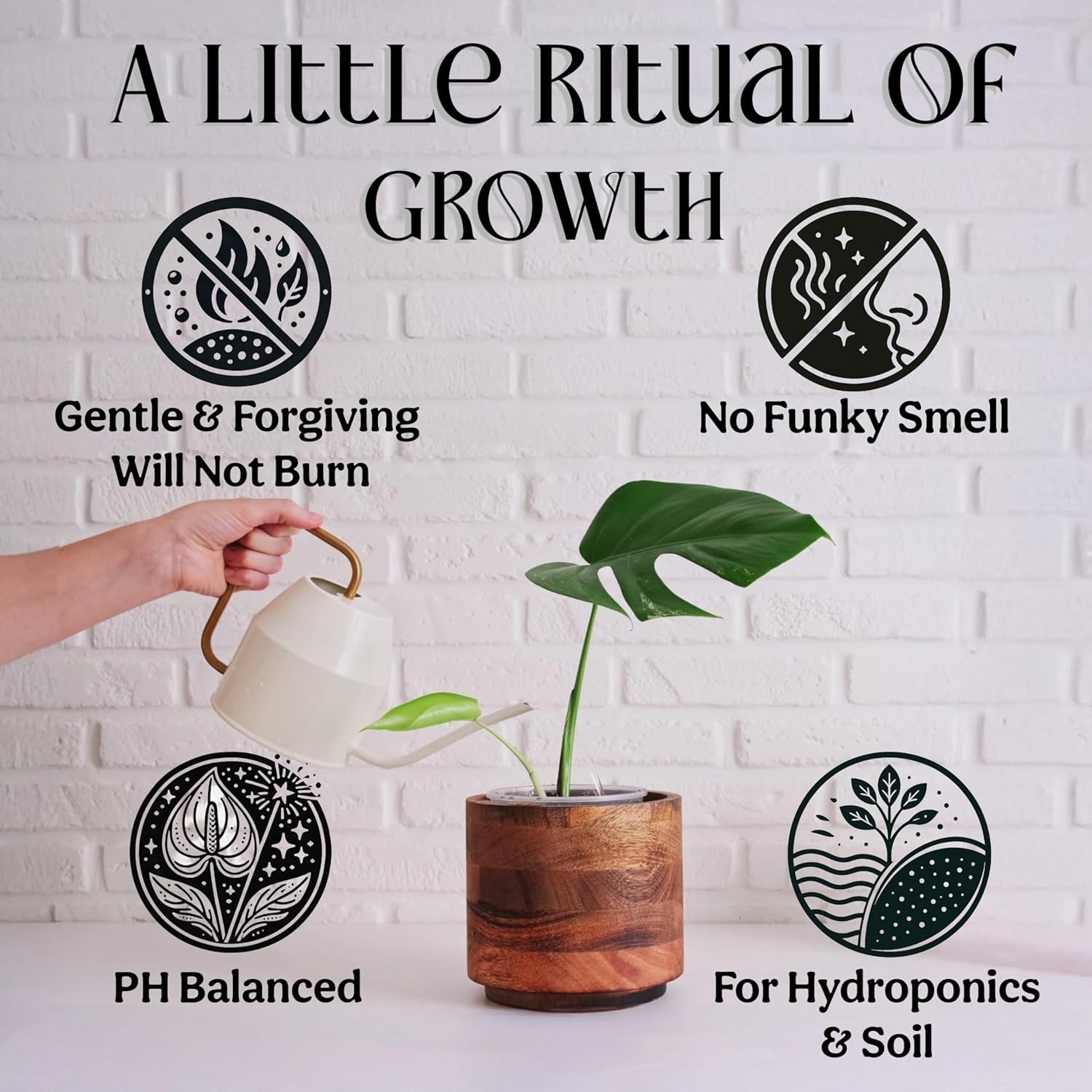 Organic Liquid Fertilizer 5-5-5 for Indoor Plants w/ Sea Kelp 8oz