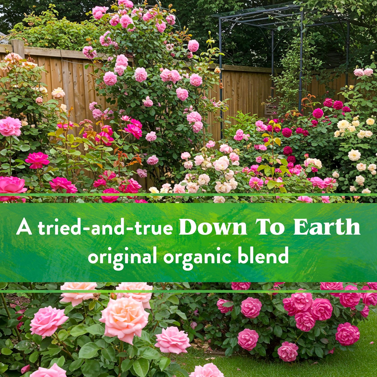 Organic Rose & Flower Mix – Plant Food for Roses, Bulbs, Flowers and Ornament…