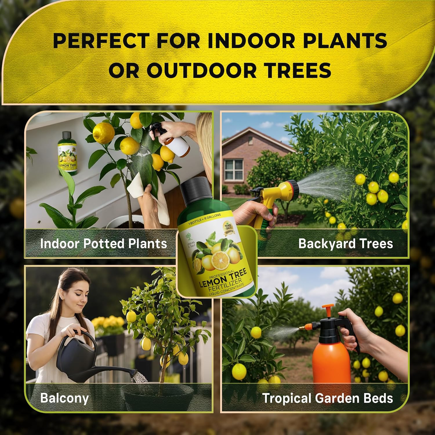 Lemon Tree Fertilizer 8 Oz, Professional Liquid Lemon Tree Fertilizer 6-4-6 Conc