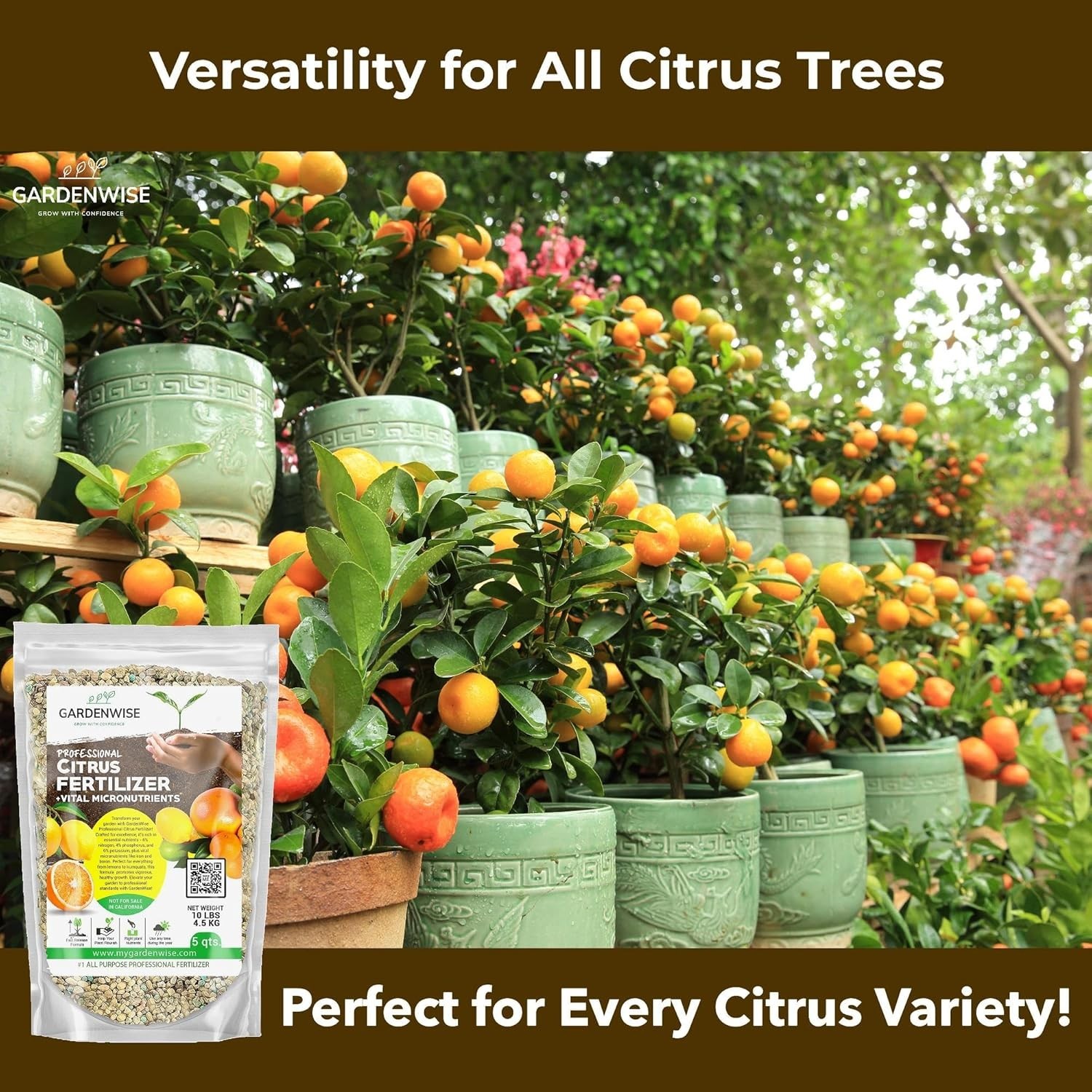 Advanced Citrus Fertilizer with Micronutrients – Boost Fruit Quality in 1 Quart