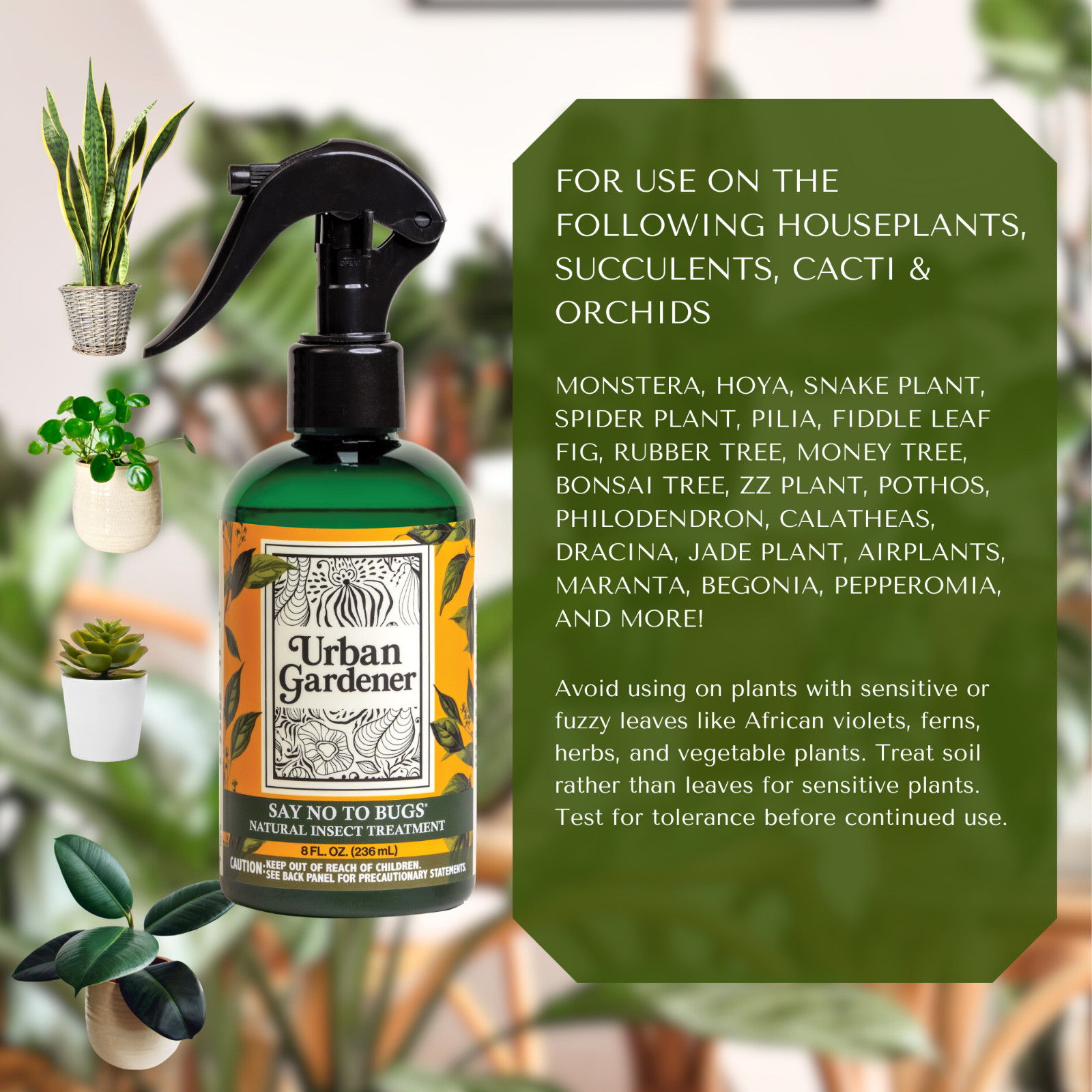 Say No To Bugs for Houseplants by Urban Gardener