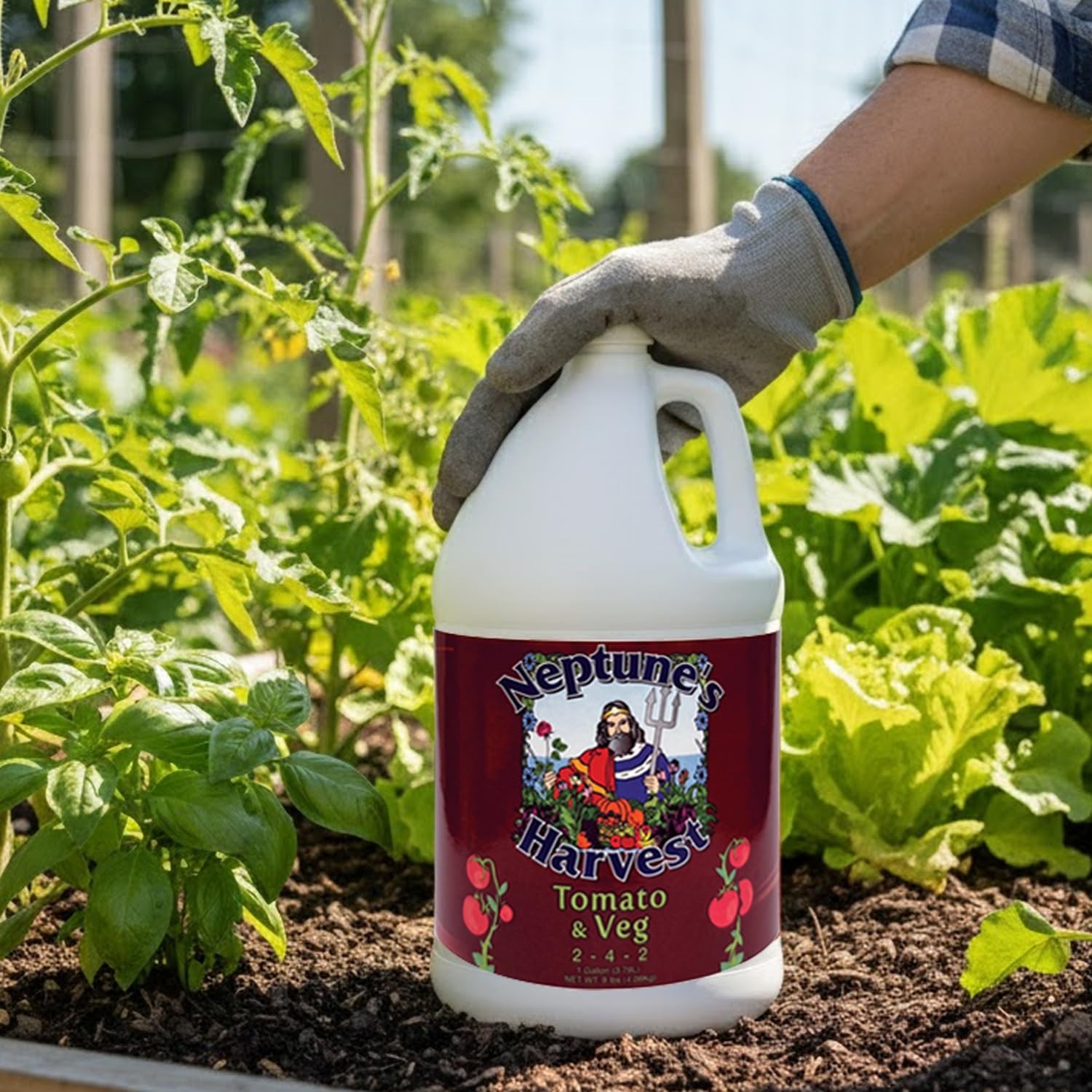 Neptune’s Harvest Organic Tomato & Vegetable Plant Fertilizer 2-4-2 – Liquid …
