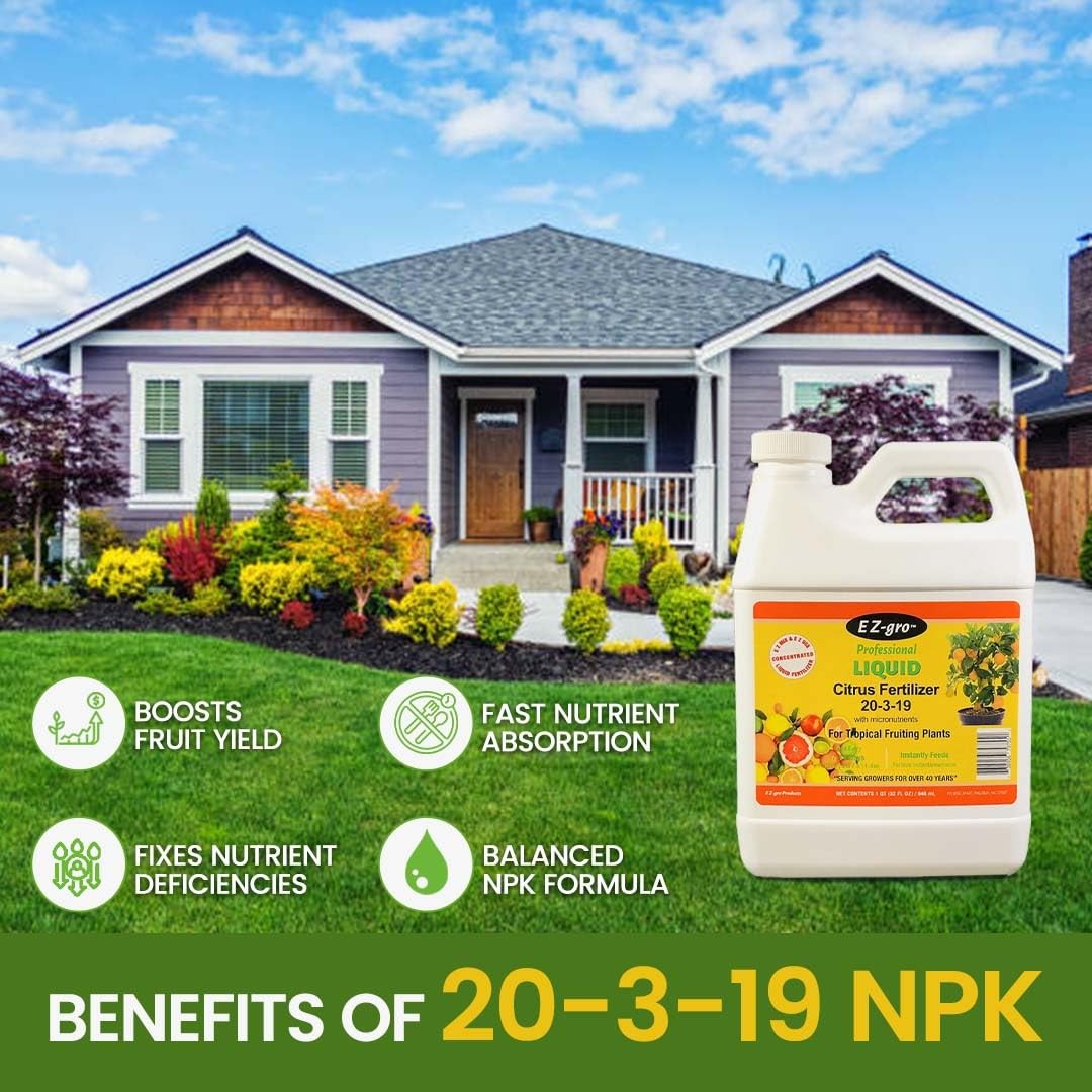 Citrus Tree Fertilizer – Orange, Lemon, Lime, Mango, Avocado – Citrus Fertilizer