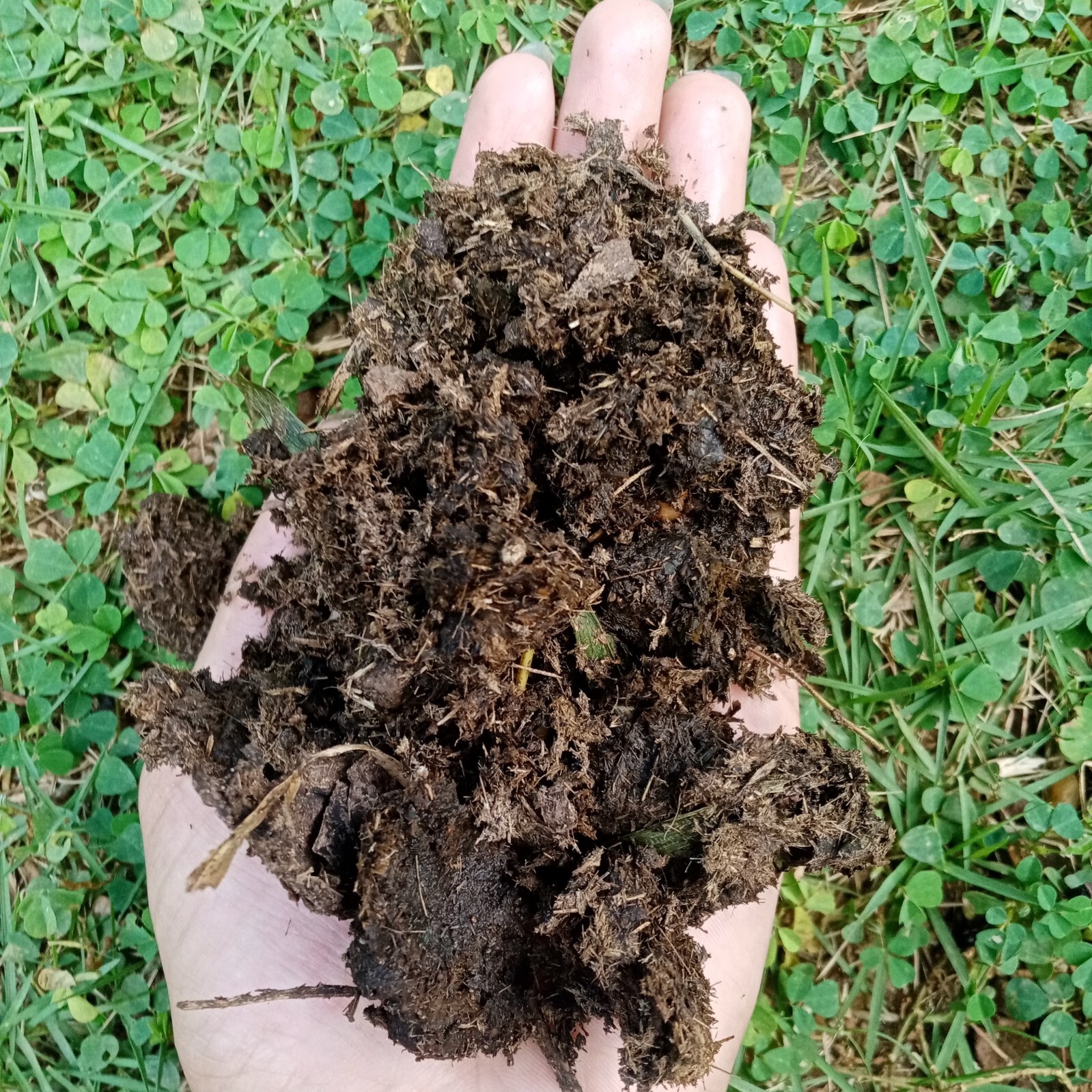Natural Cow Dung Organic Fertilizer Cow Manure Compost Plant Growth Fertilizer