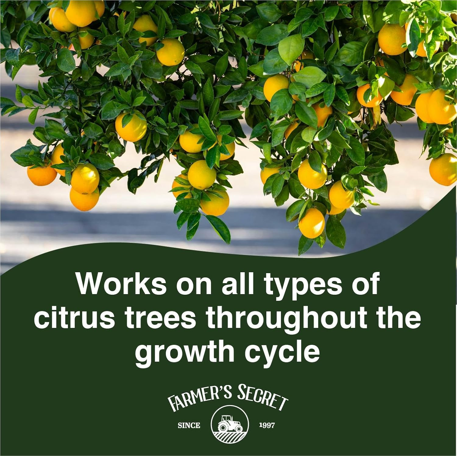 Farmer’s Secret Citrus Tree Booster Fertilizer (128oz) – Super Concentrated – Fo