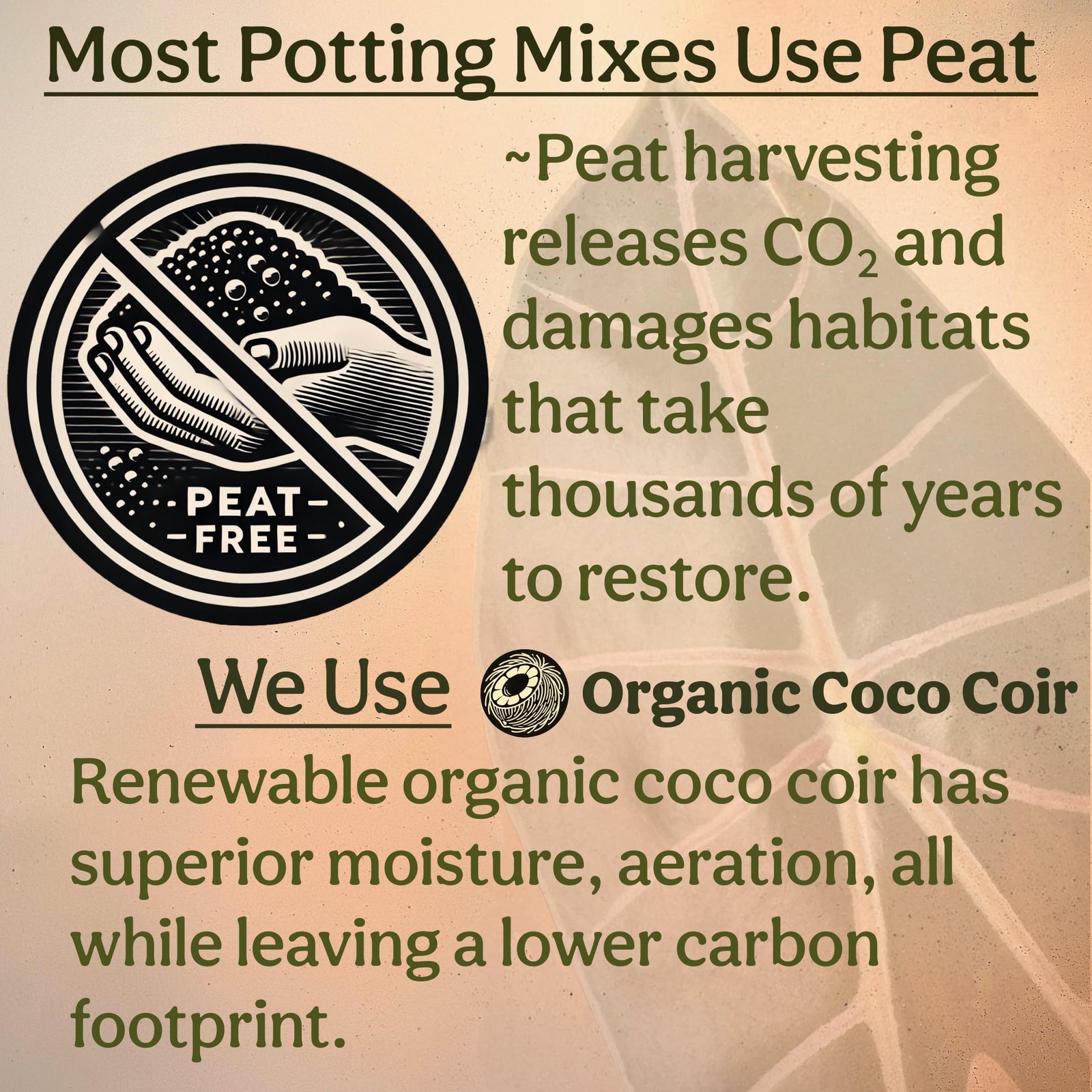 Craft Aroid Potting Mix- Elite Organic Alocasia, Philodendron, Monstera Soil …