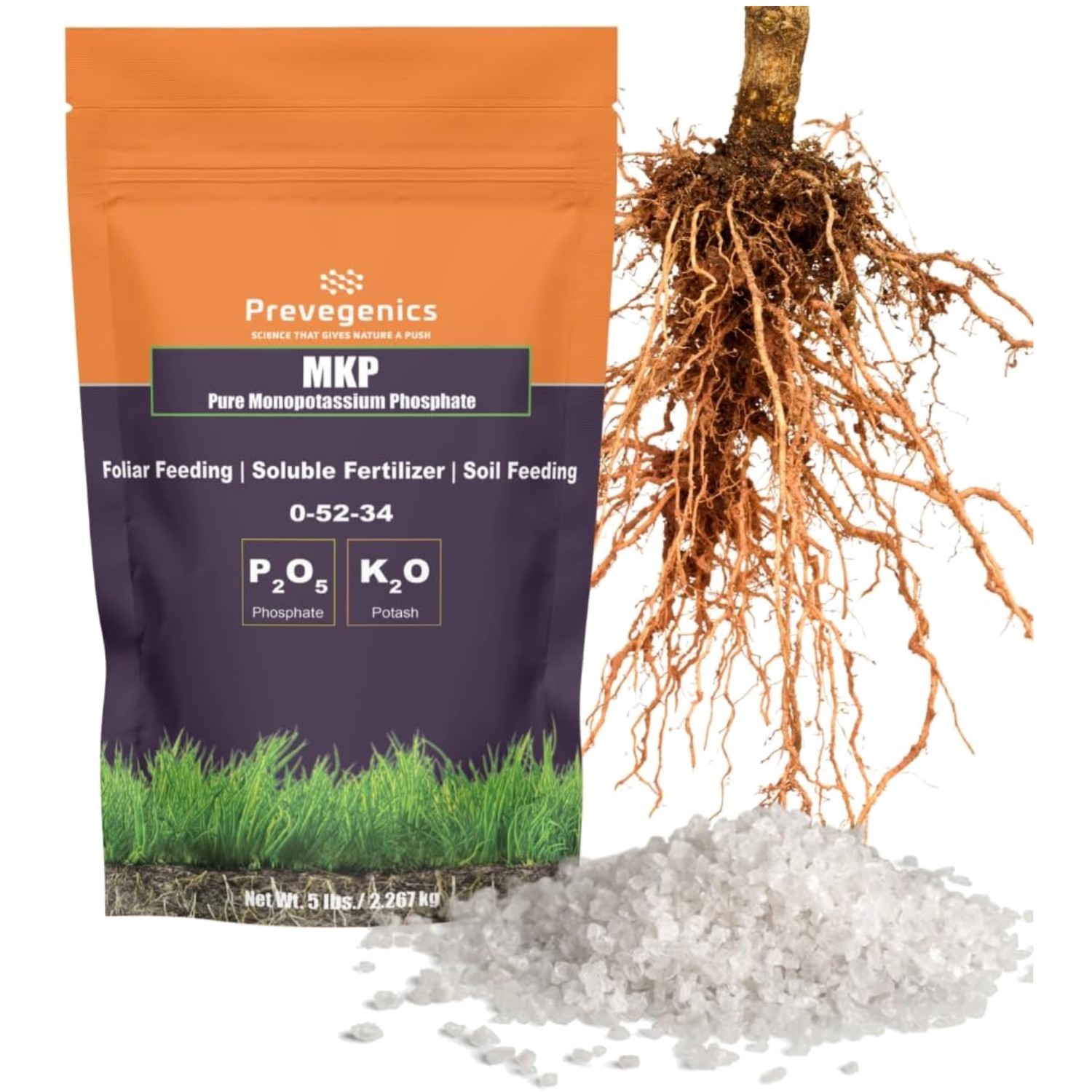Water Soluble 0-52-34 Fertilizer | Enhances Fruit Production