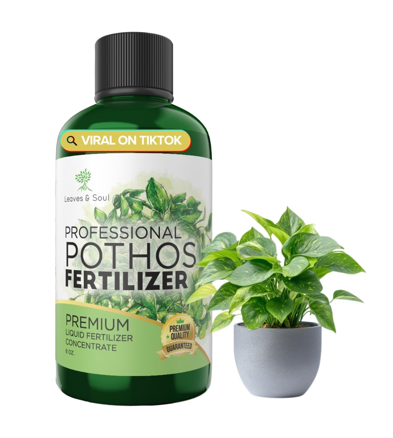 Professional Pothos Fertilizer Liquid 3-1-2 Concentrate 8 oz, Plant Food for…