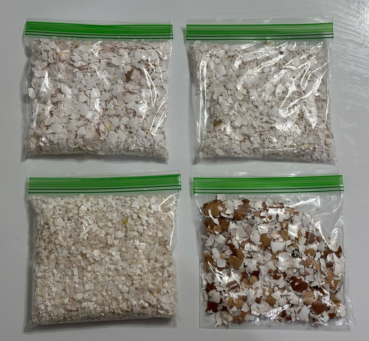 Hand Crushed Chicken Egg Shells – 1.6 Pounds