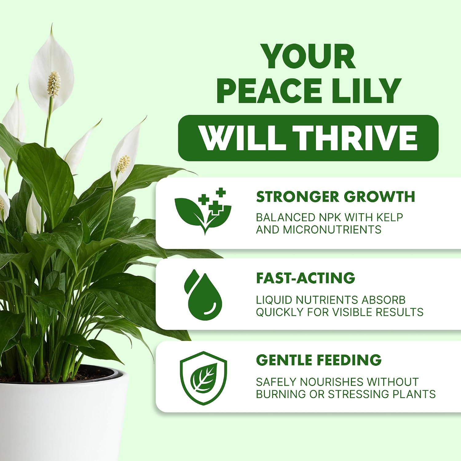 Peace Lily Fertilizer – Liquid Plant Food for More Blooms, Deep Green Leaves