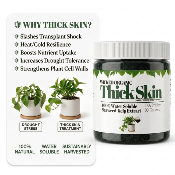 Old Cobblers Farm Wicked Organic Thick Skin Soluble Seaweed Extract Powder