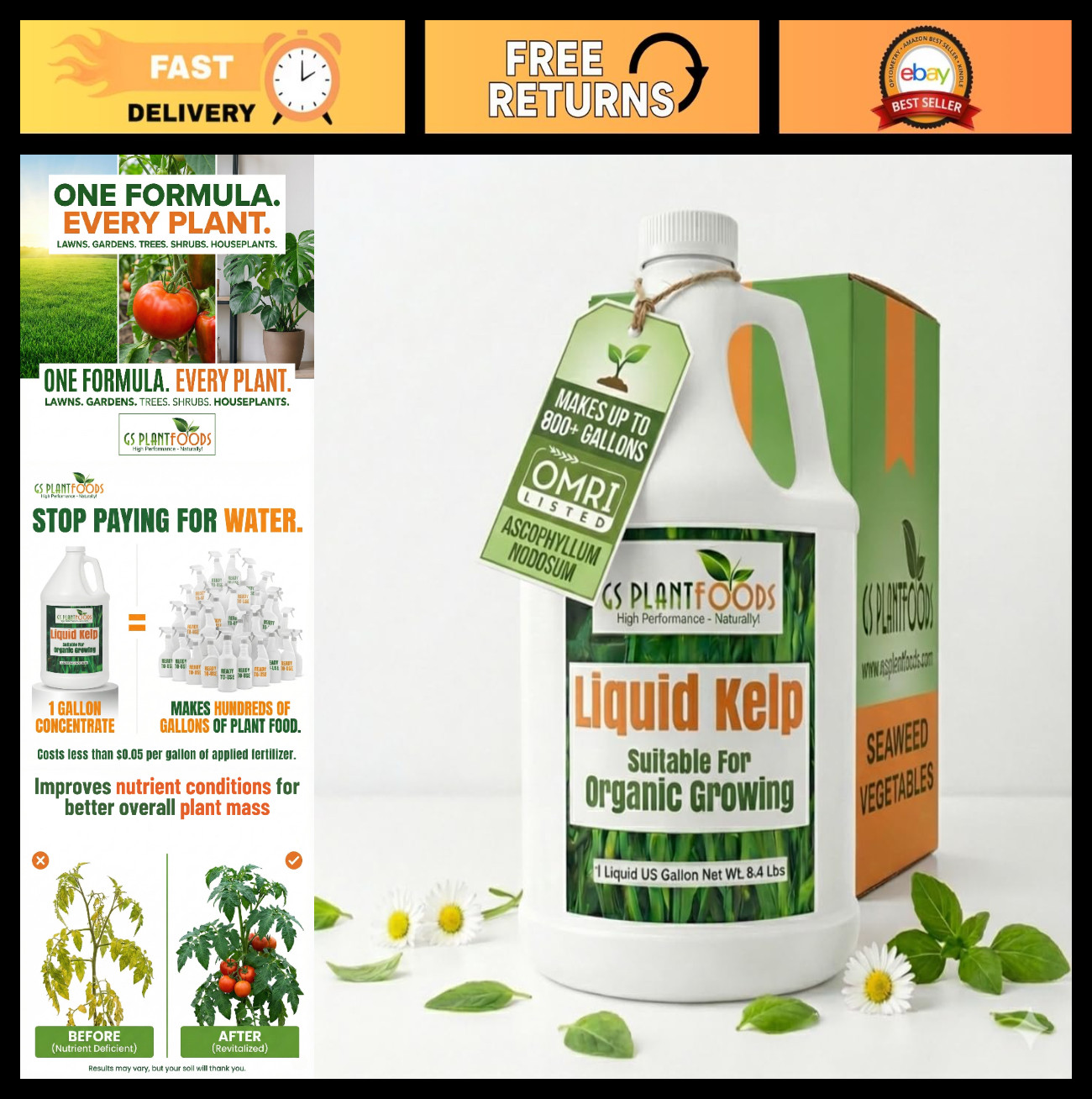 Organic Liquid Kelp Fertilizer – Seaweed Concentrate for Lawns & Gardens, 1 Gall