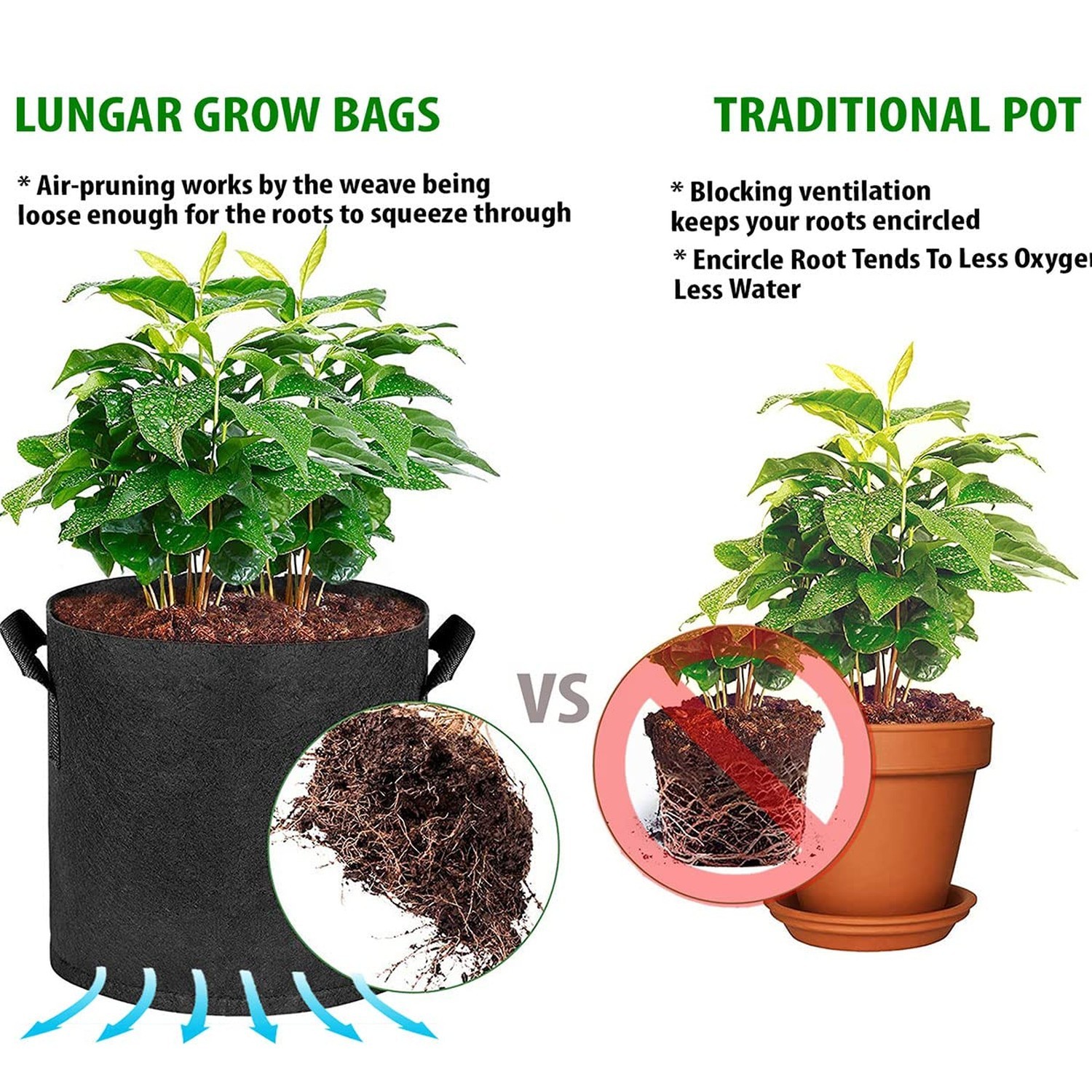 Plant Grow Bags 10 Gallon 5 Packs Planter Pot, Thickest Aeration 300G Non-Wov…