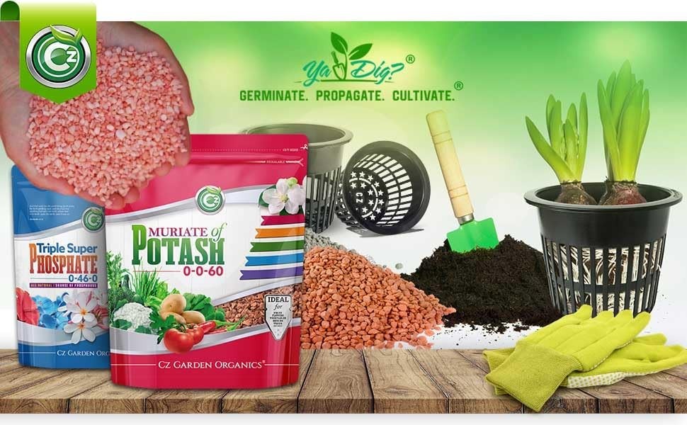 Muriate of Potash 0-0-60 Fertilizer – MOP Potassium Plant Food for Indoor/Ou…