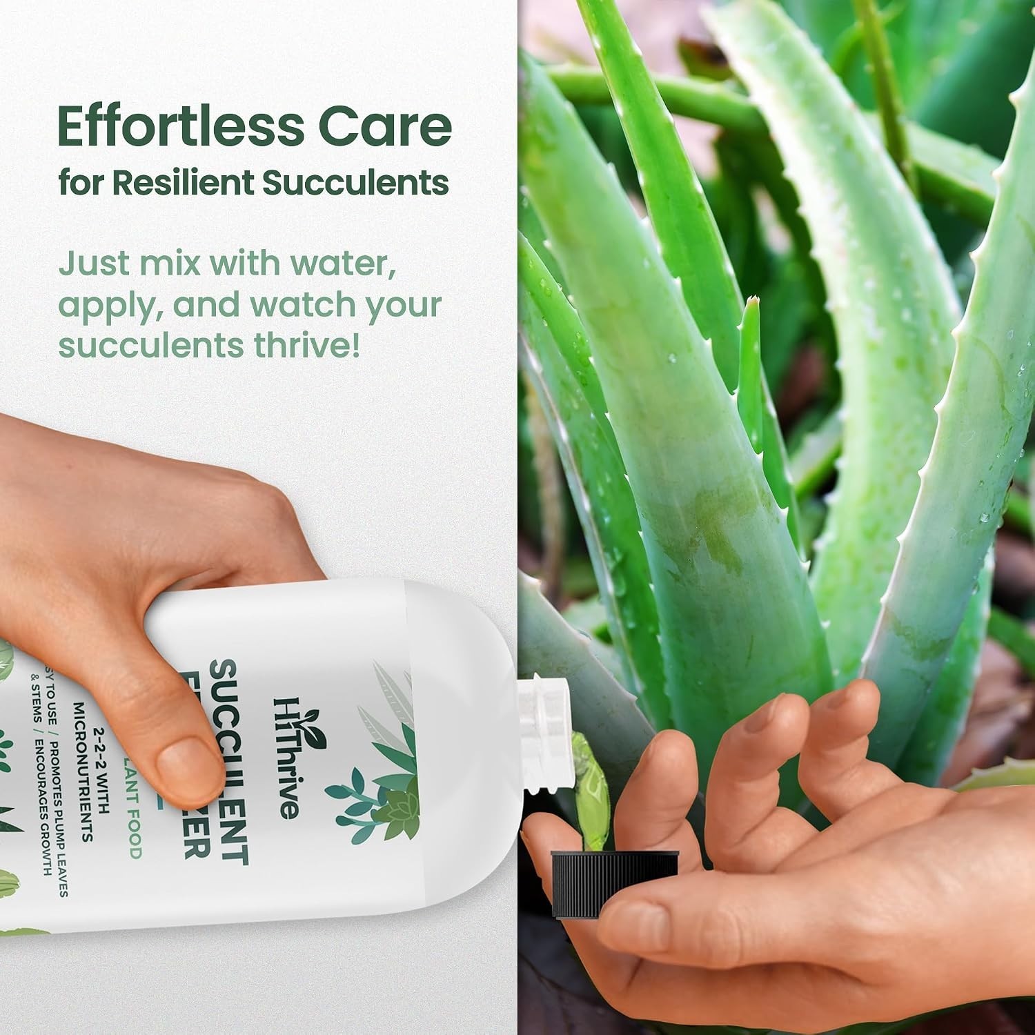 Succulent Fertilizer for Vibrant Leaves, Strong Roots & Plump Growth, 16oz | …