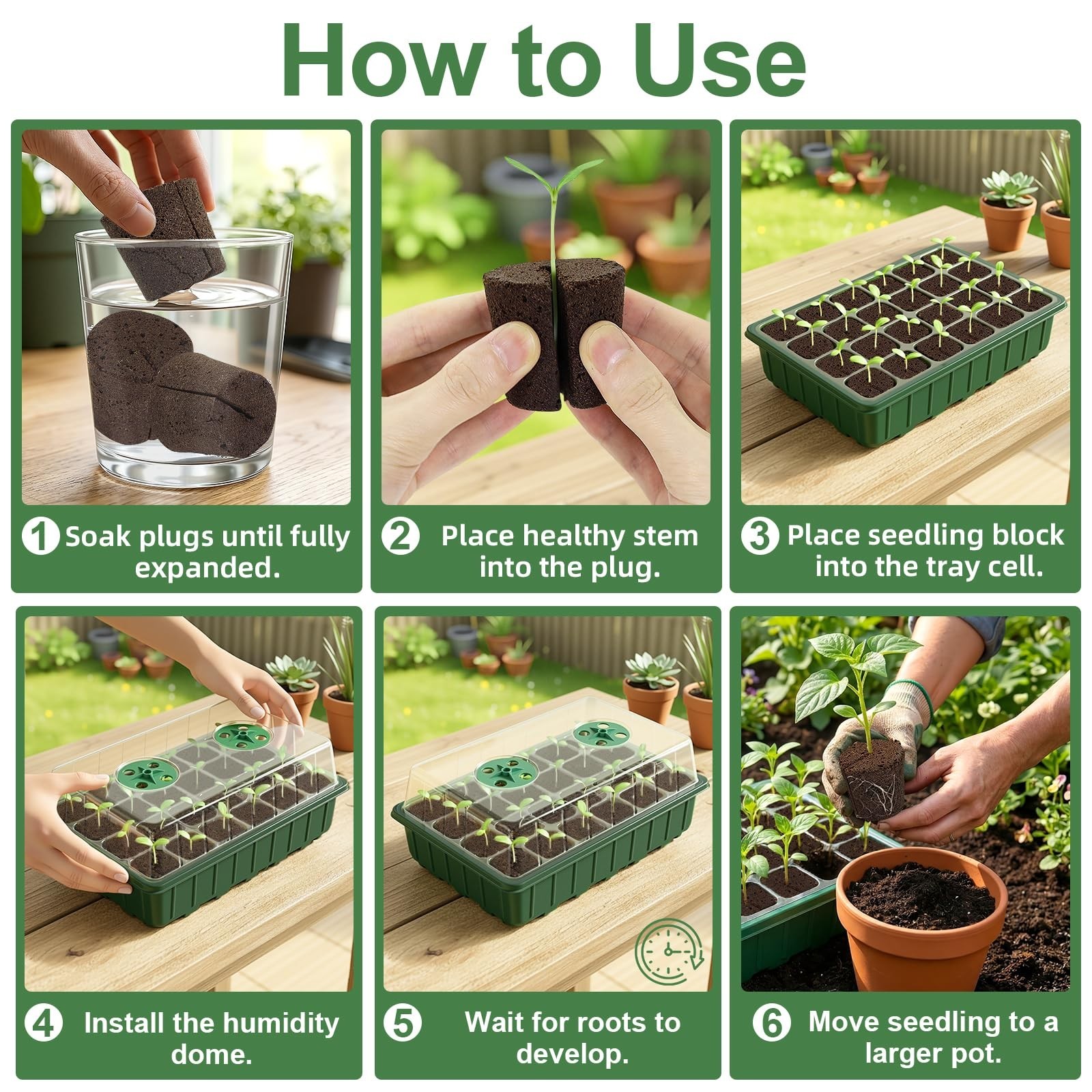Grow Sponges with Tray, 24 Pack Seed Starter Pods & Starter Plugs for Cutting…