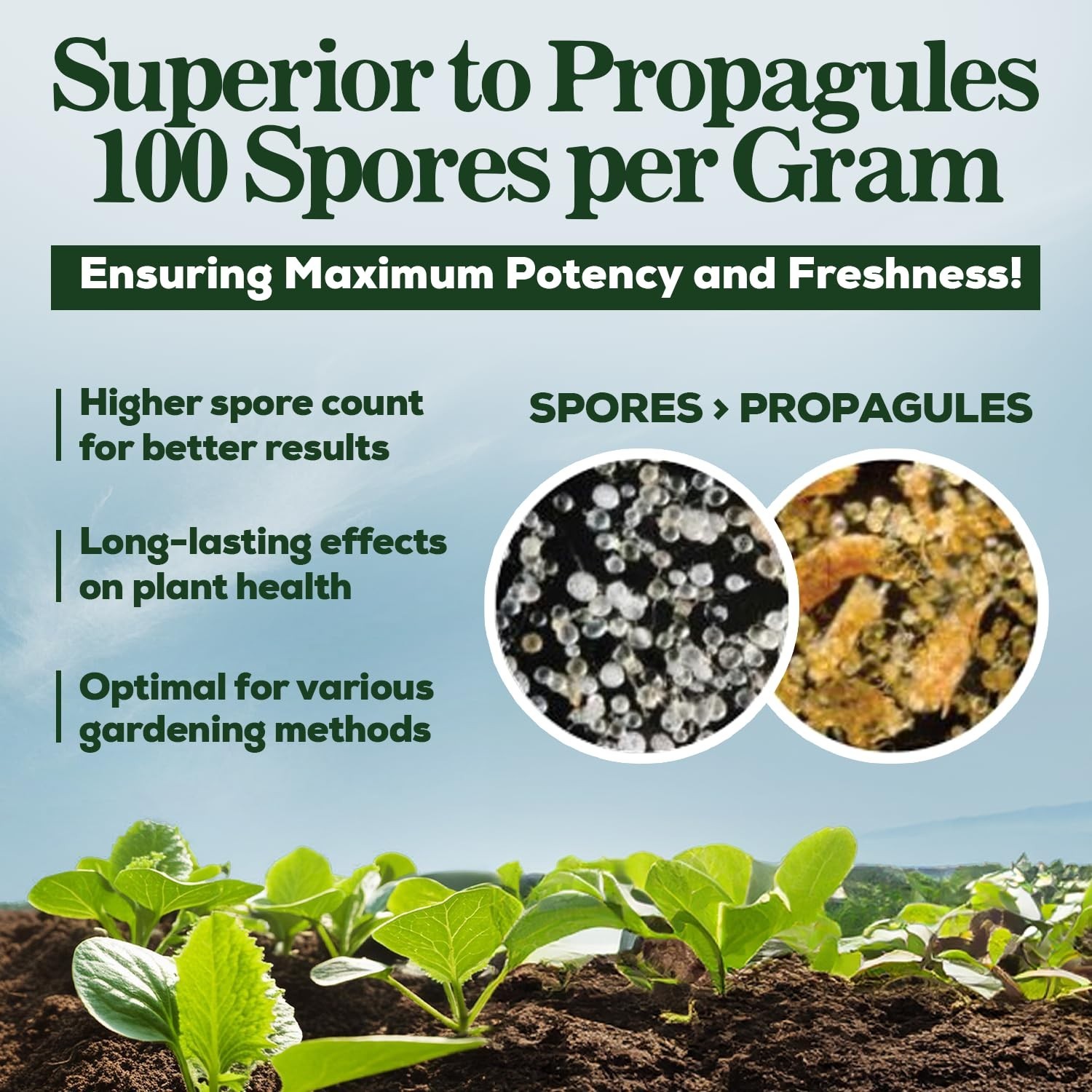 Organic Mycorrhizal Fungi Root Enhancer – 100 Spores/g, 5 Strain Blend, Fast Res
