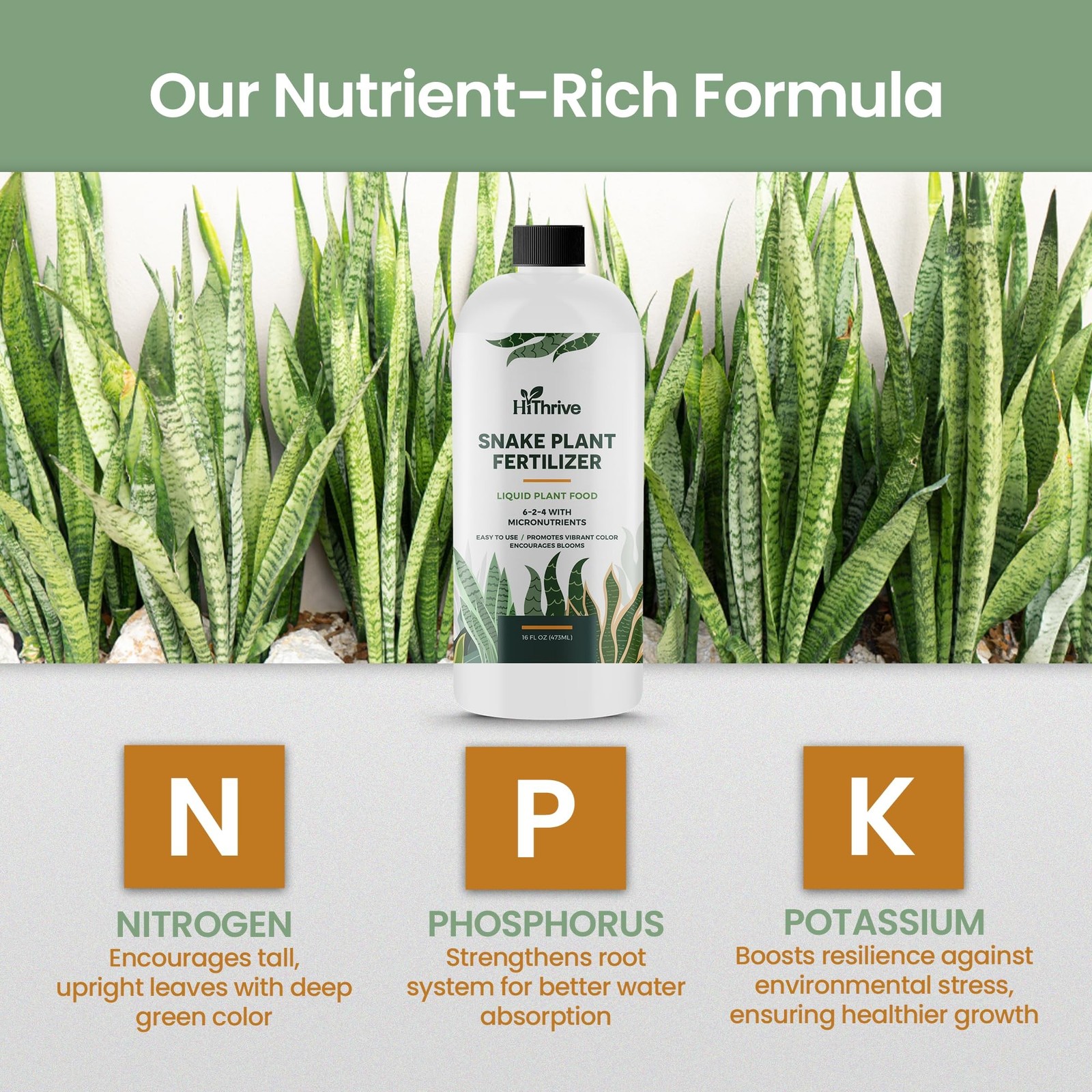 16oz Snake Plant Fertilizer for Snake Plant Live – Makes 96 Gallons of Fertil…