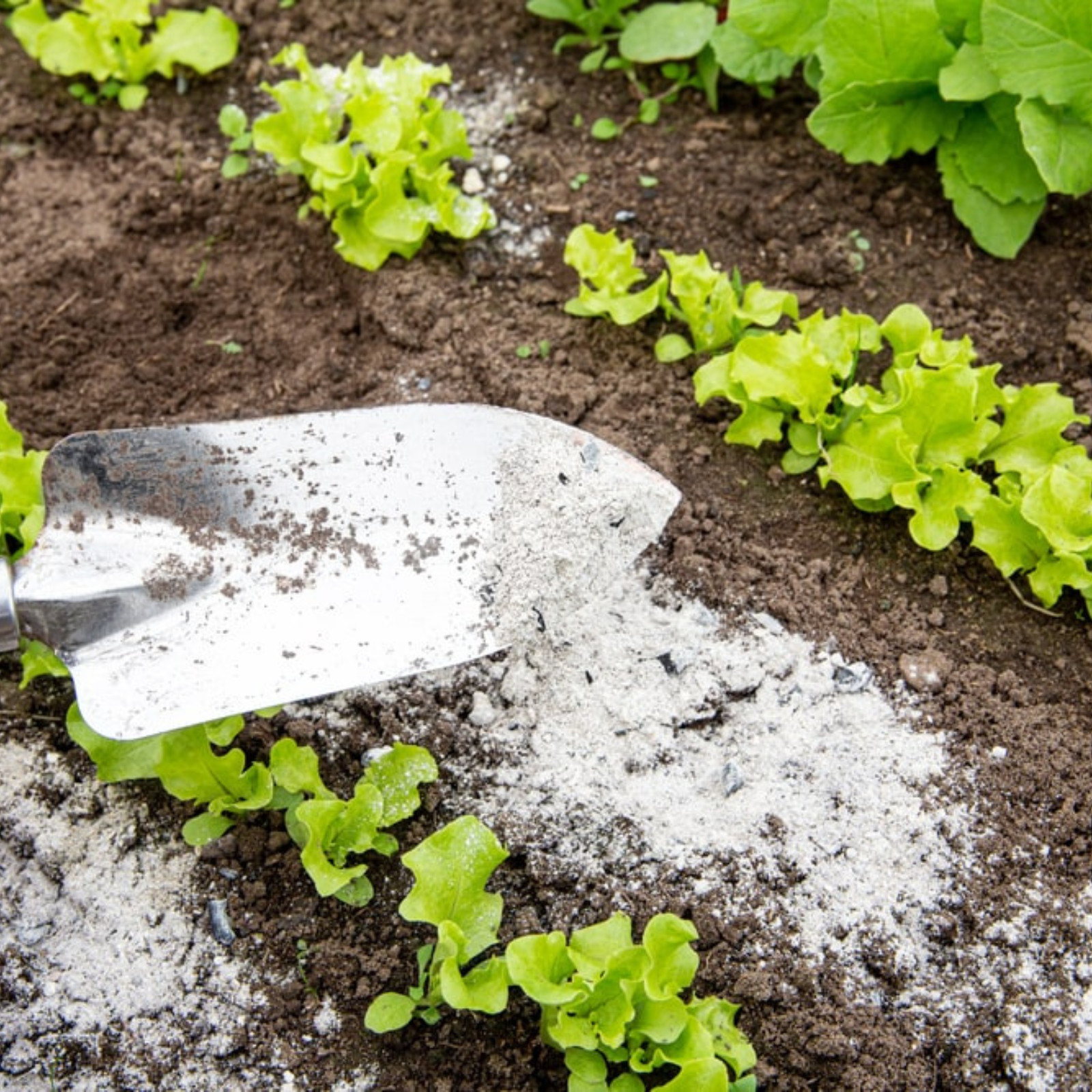 WOOD ASH POWDER GARDENING FERTILIZER Natural Compost Soap Pure, Free Shipp+ 150g