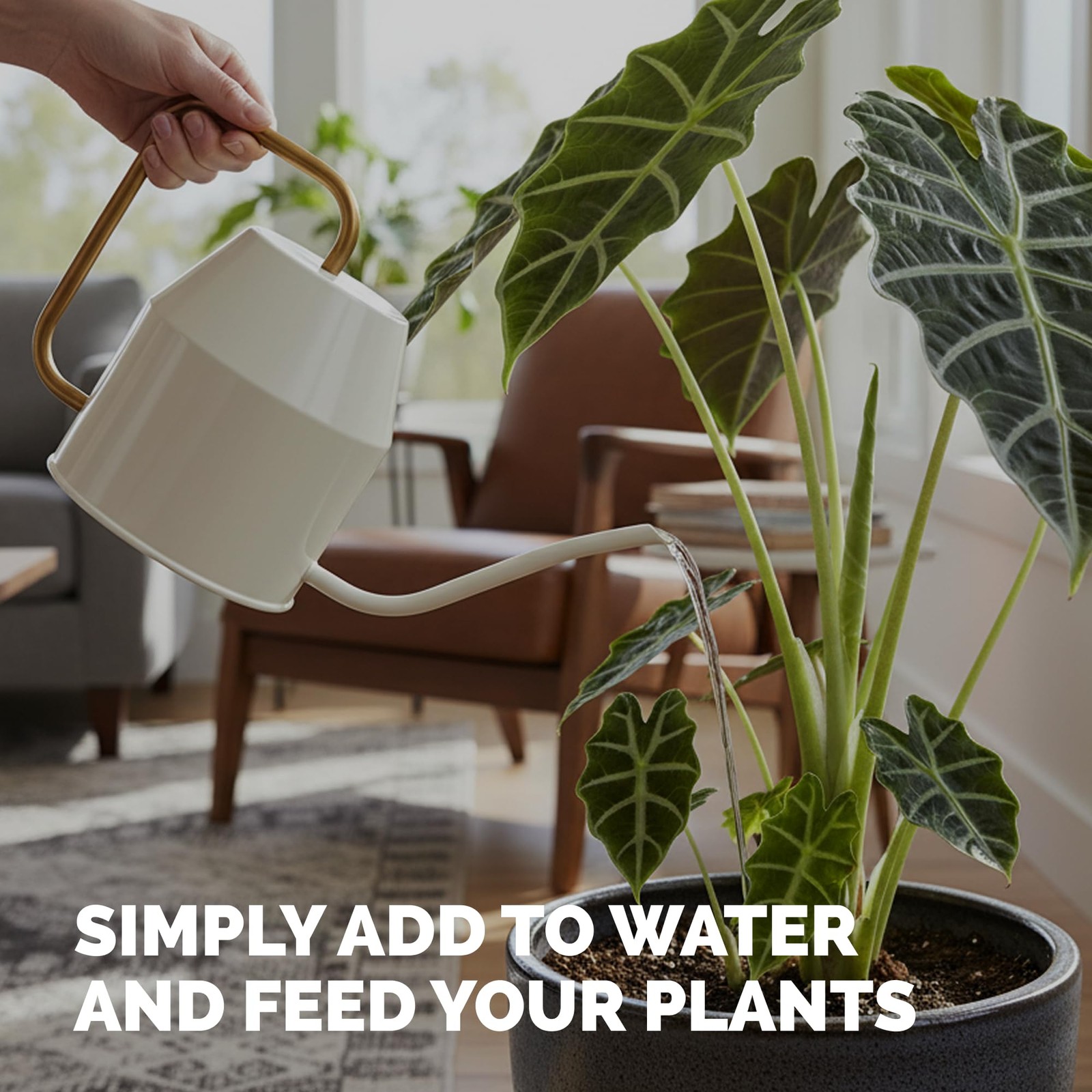 Elephant Ear Fertilizer – Liquid Plant Food for Bigger 8 oz (1/2 Pint)