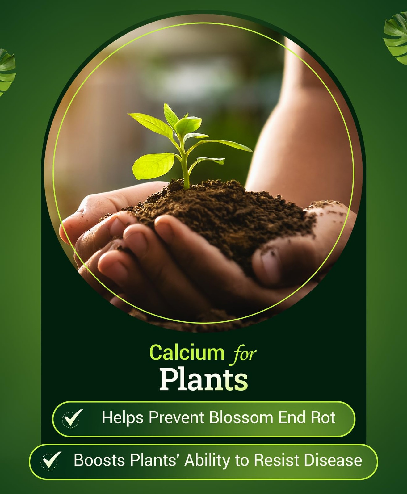 Happy Frog Tomato & Vegetable Fertilizer – Vegetable Fertilizer for Vigorous …