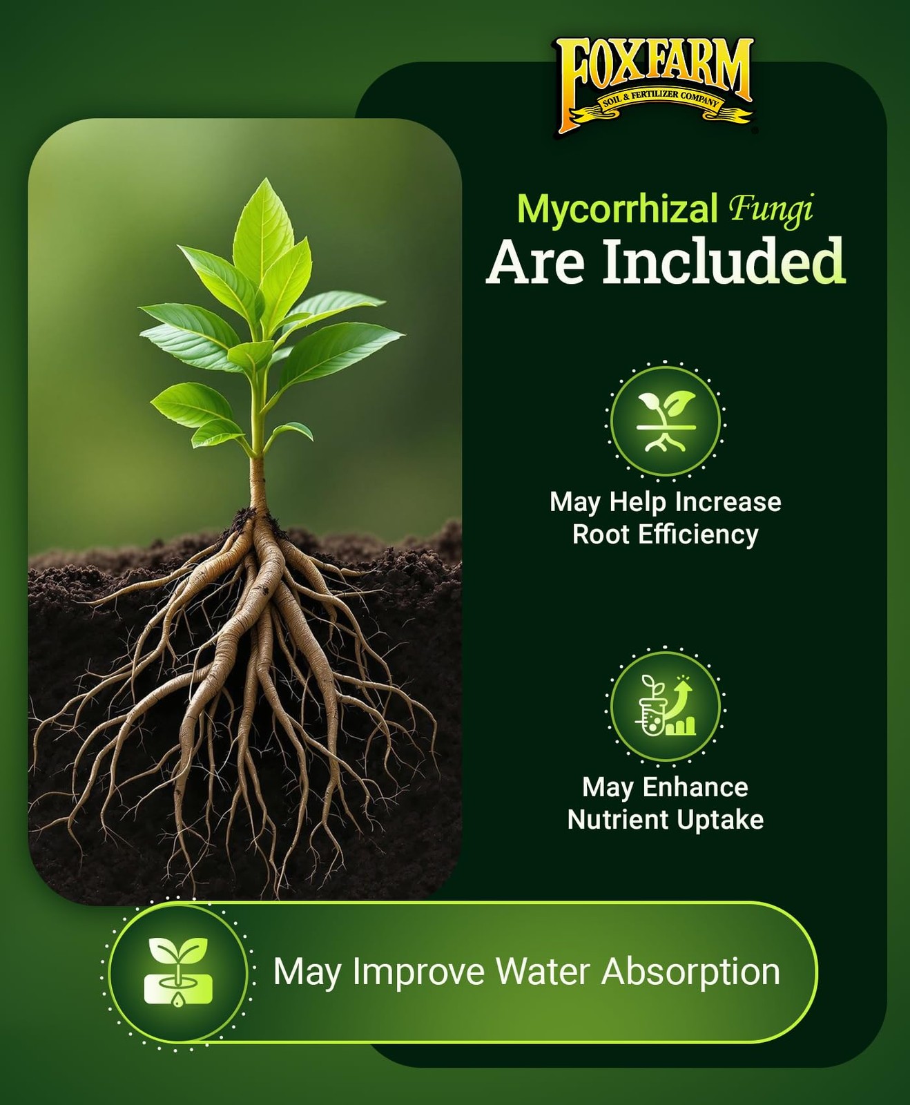 Happy Frog Tomato & Vegetable Fertilizer – Vegetable Fertilizer for Vigorous …