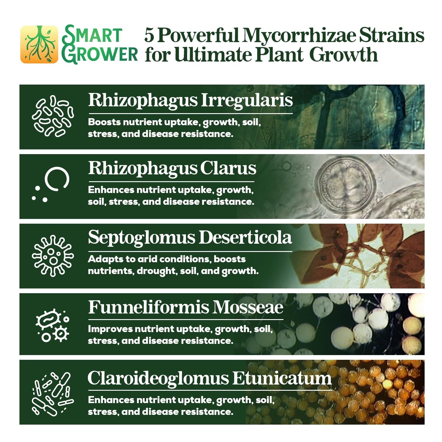 Organic Mycorrhizal Fungi Root Enhancer – 100 Spores/g, 5 Strain Blend, Fast Res