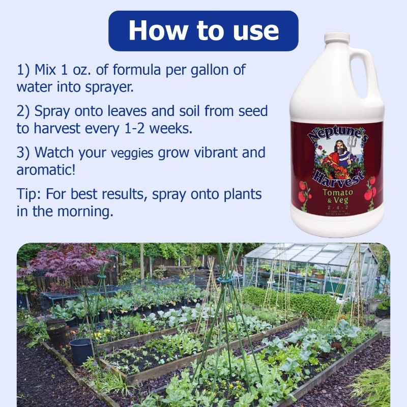 Organic Tomato Vegetable Plant Fertilizer (2-4-2) Liquid Plant Food w/Fresh Fish