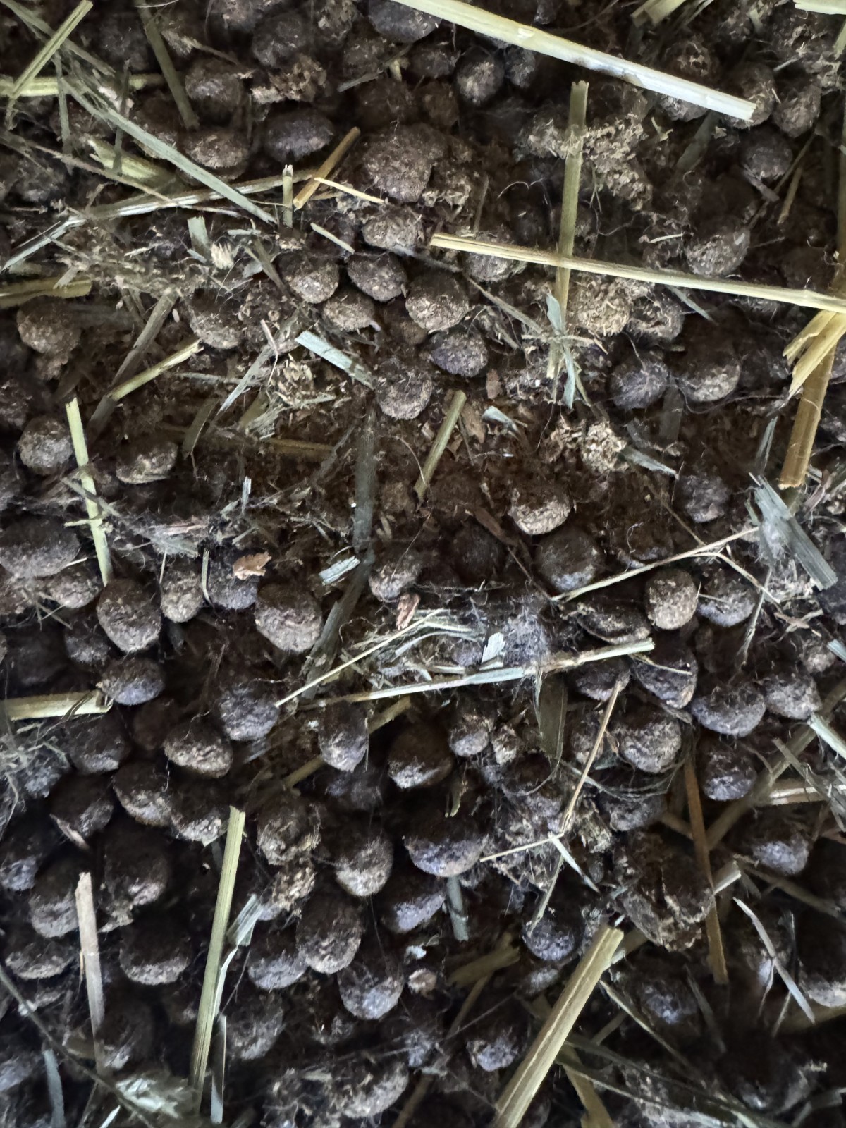Organic Rabbit Manure/Compost- Various Sizes Available- Please Read Description!