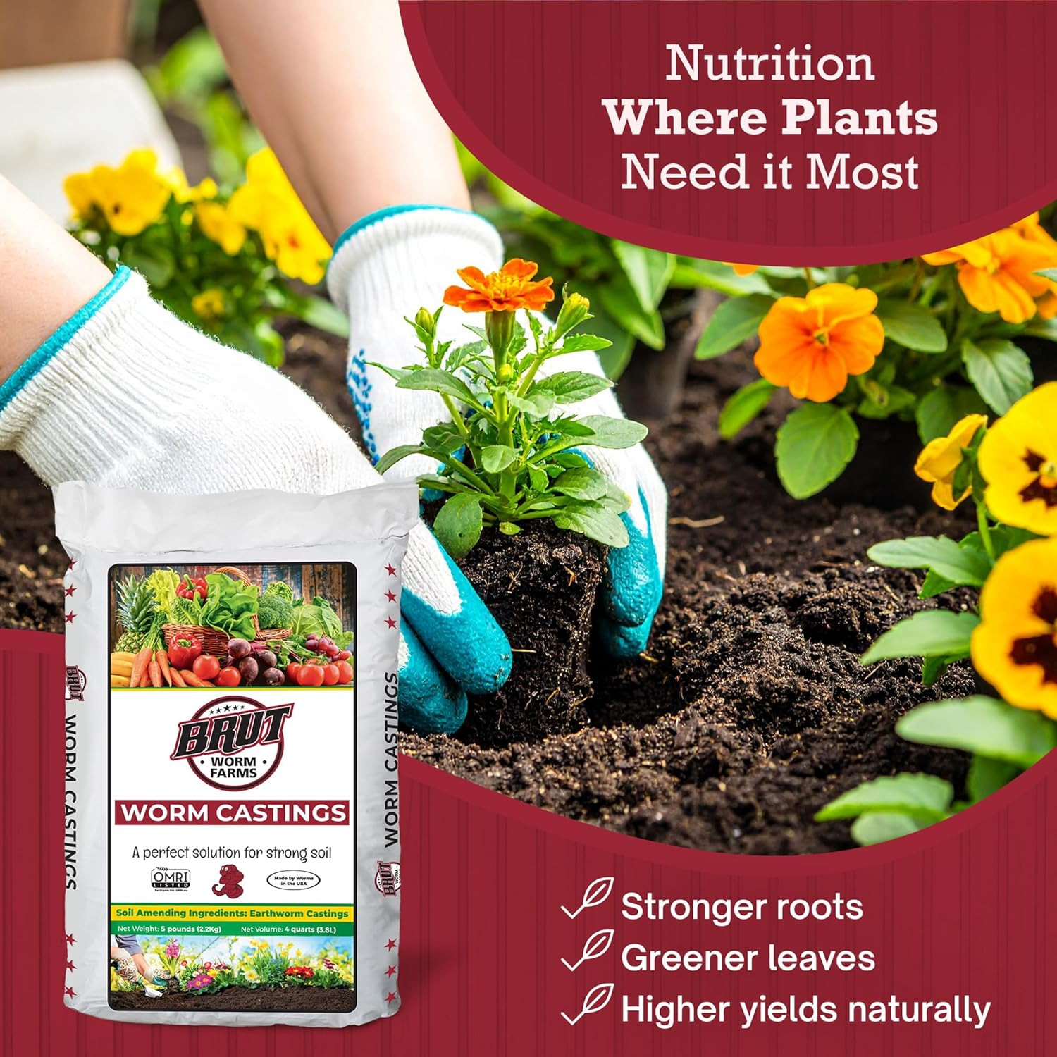 Brut Organic Worm Castings for Plants 5 LB – Natural Nutrients, Fertility Builde